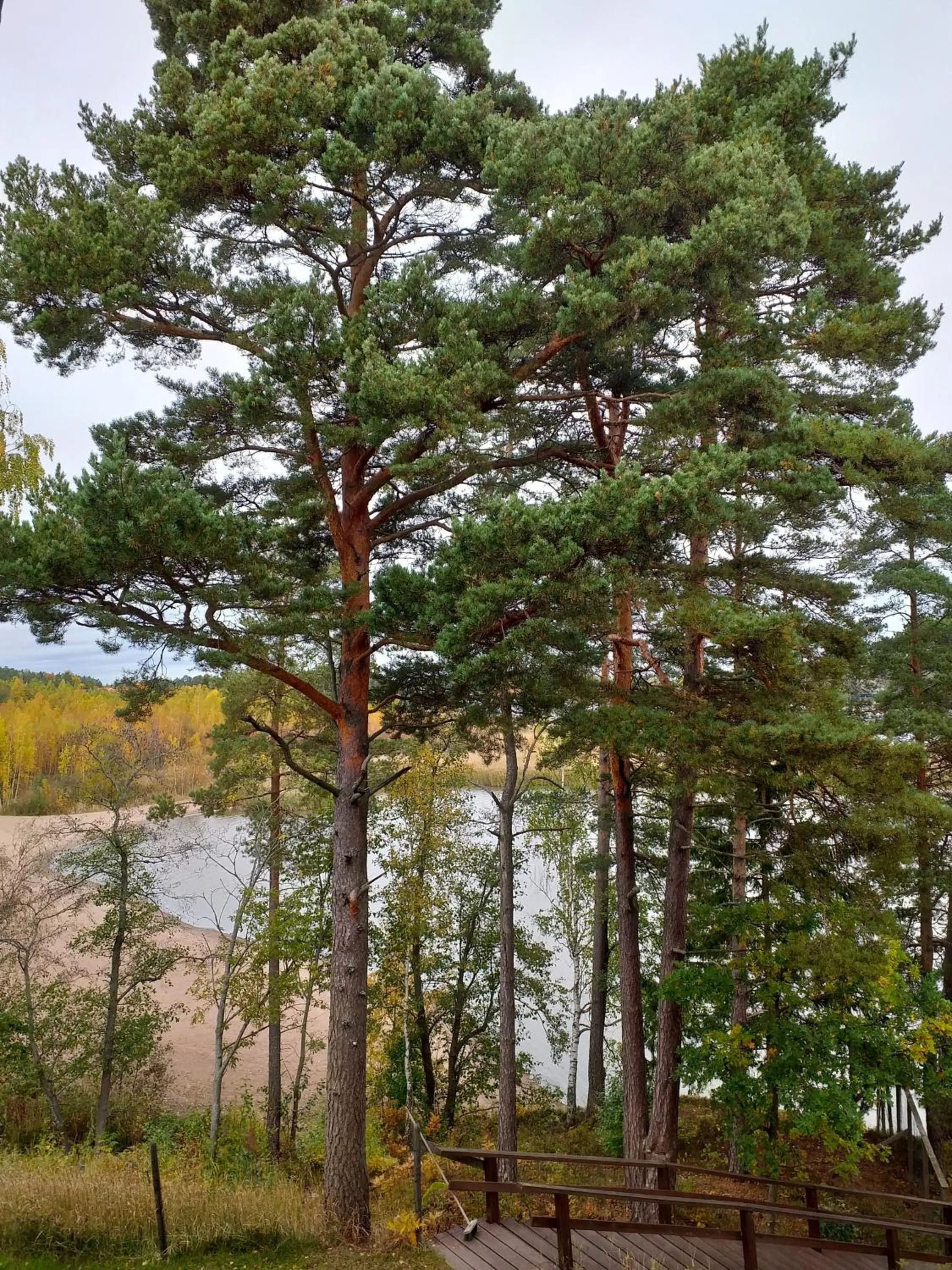 Beach in Meri-Karina