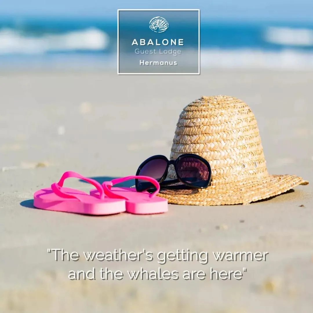 Beach in Abalone Guest Lodge