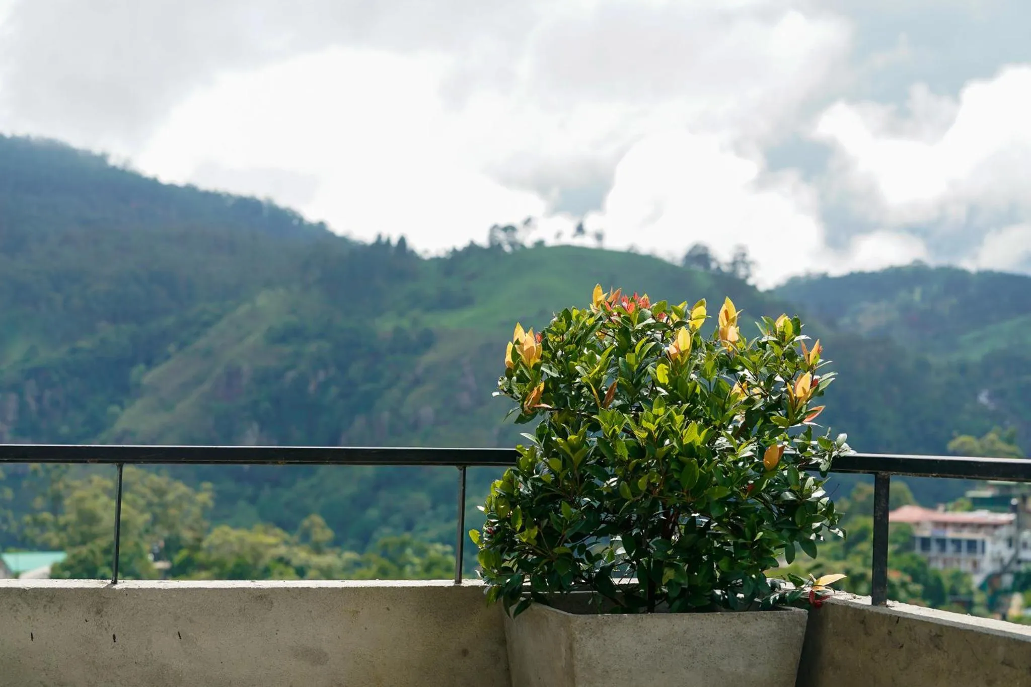 Mountain view in Ella Rawana Den Hotel