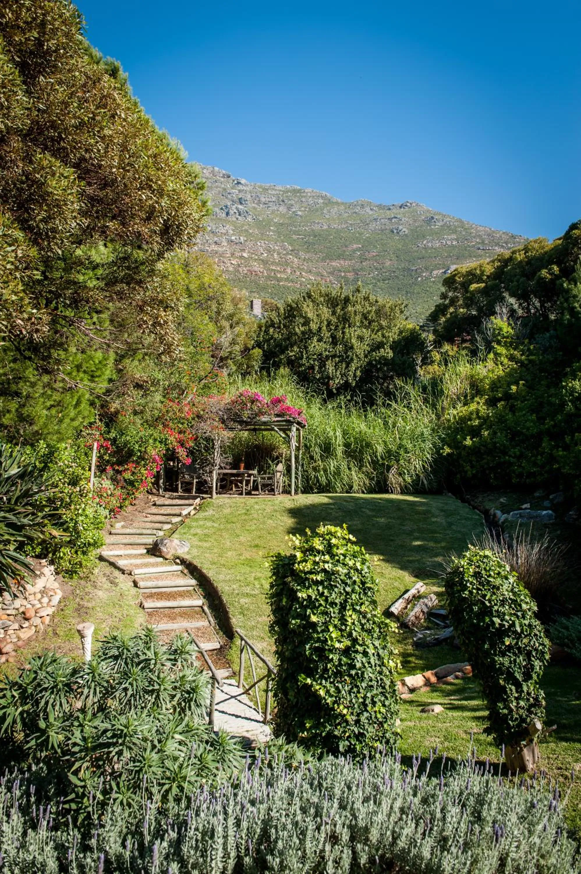 Garden in Whale View Manor & Spa