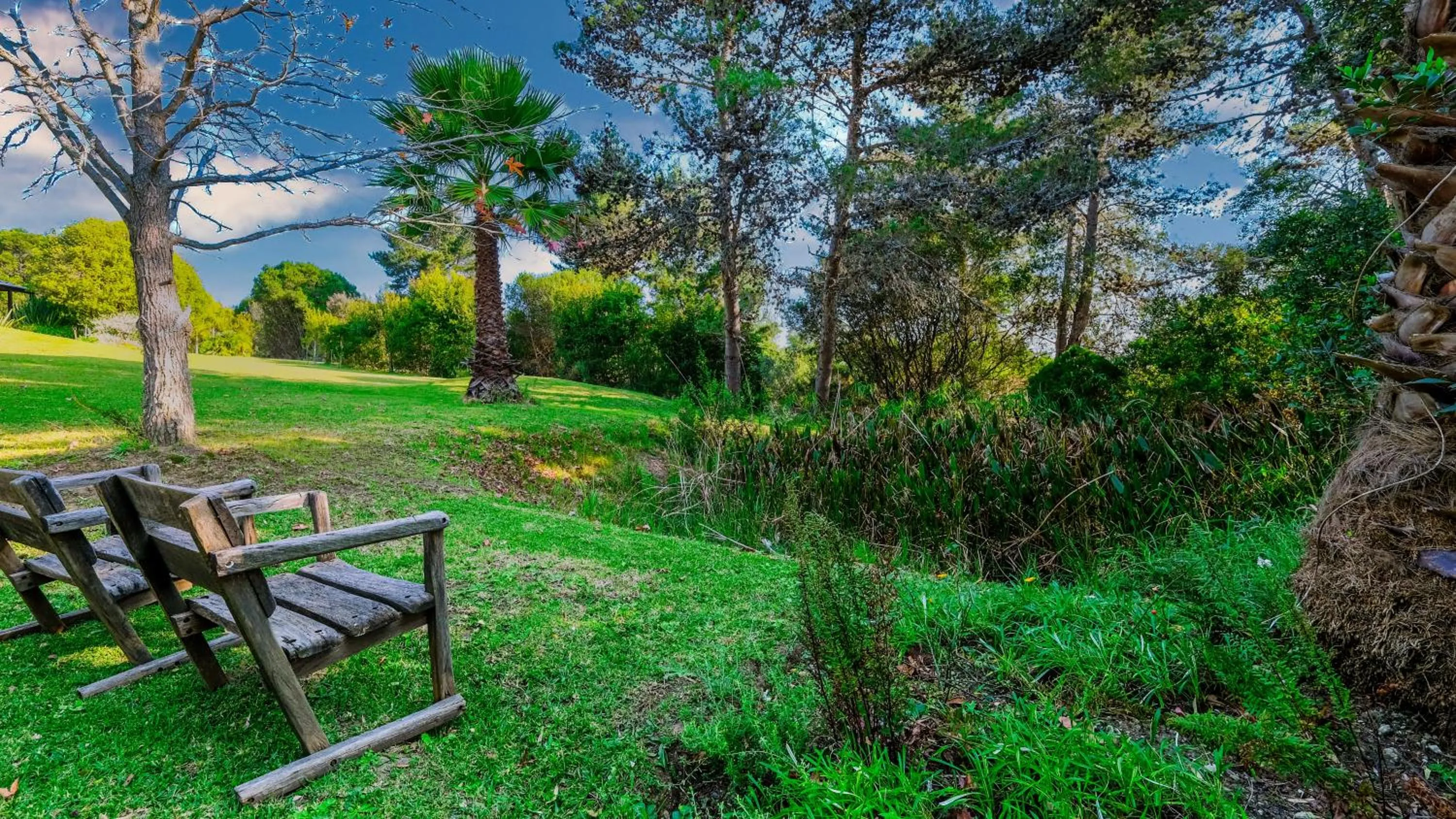 Garden in Hildesheim Guest Lodge