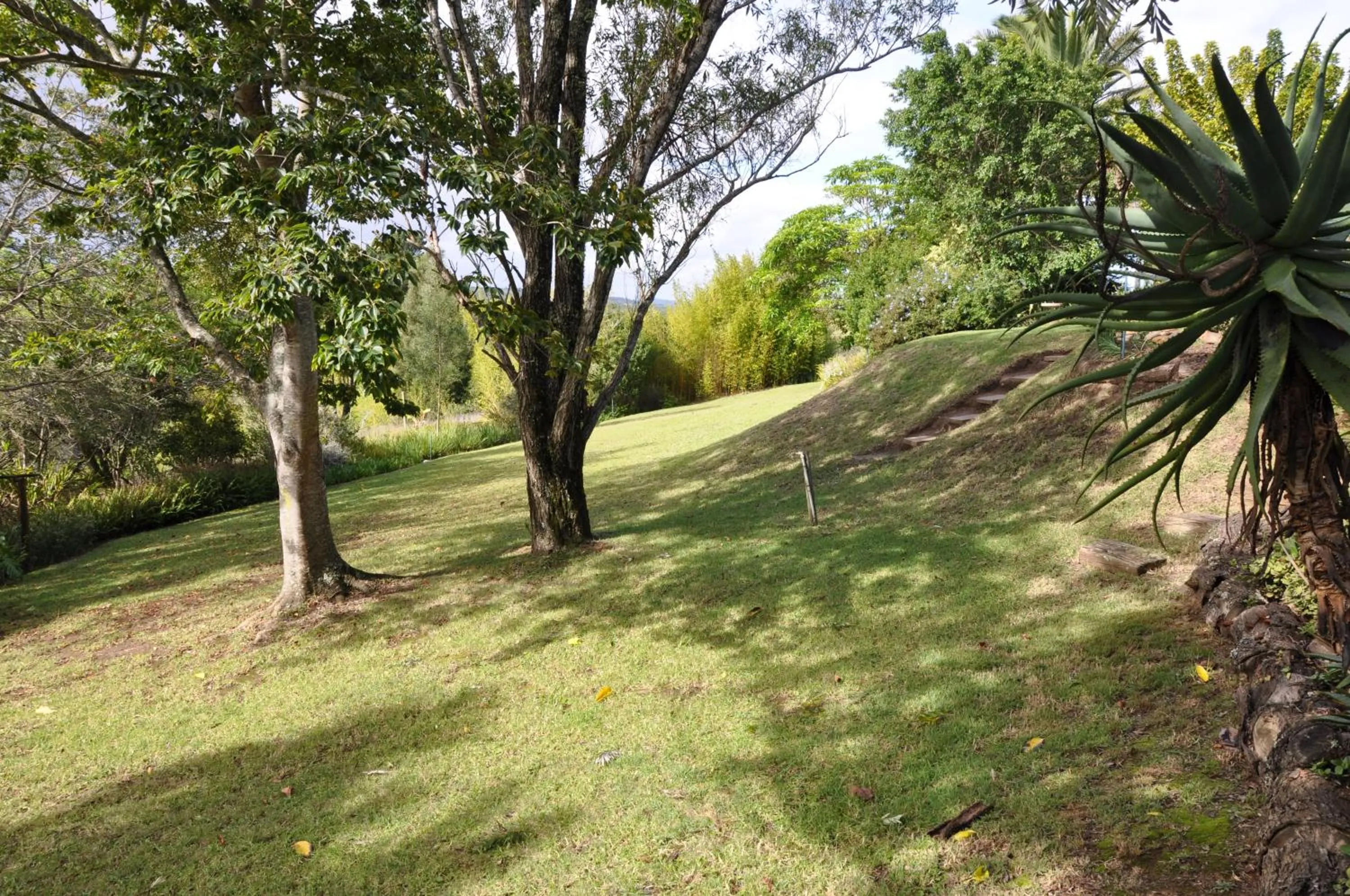 Natural landscape in Hildesheim Guest Lodge