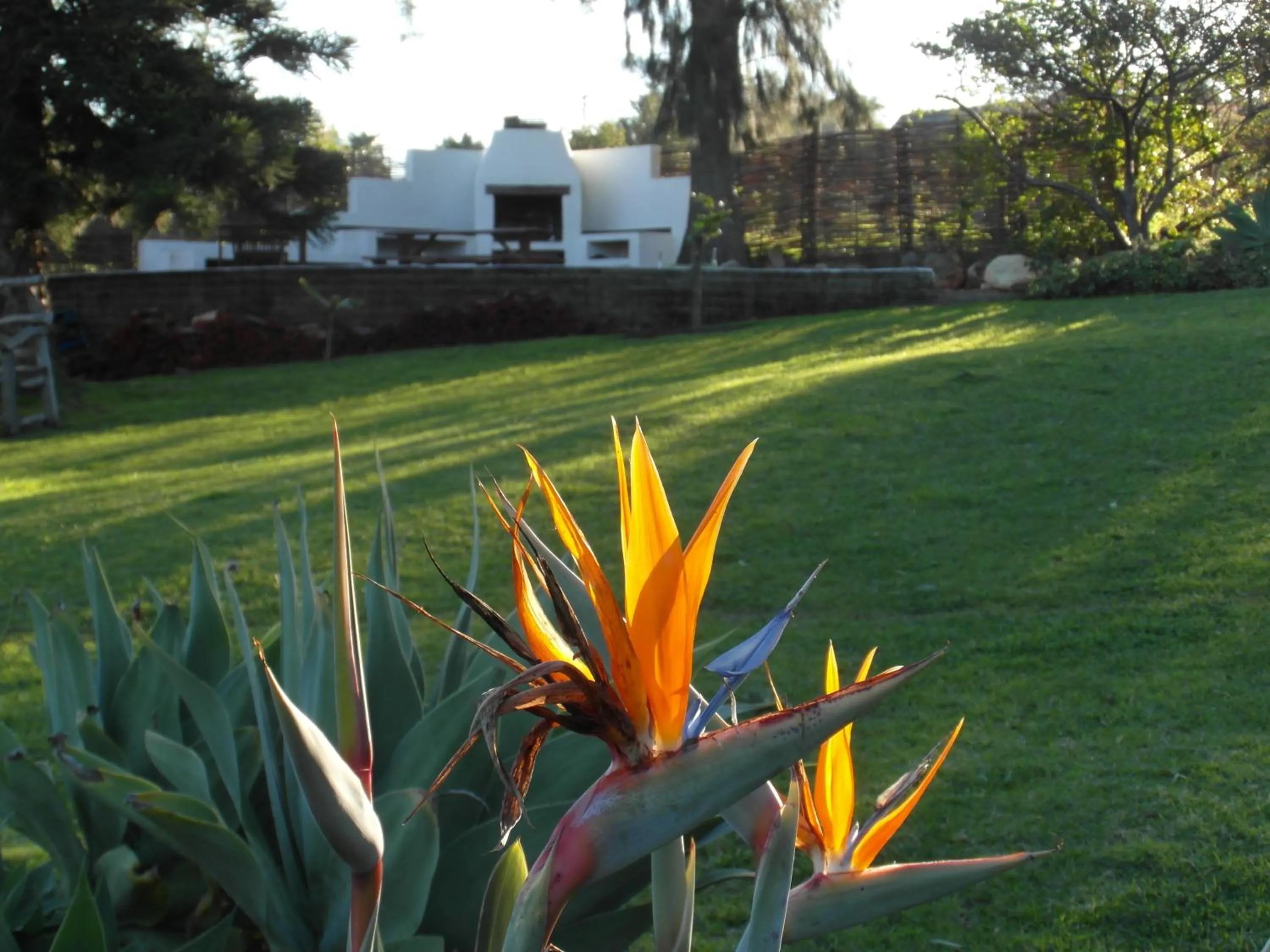 Garden in Marula Lodge