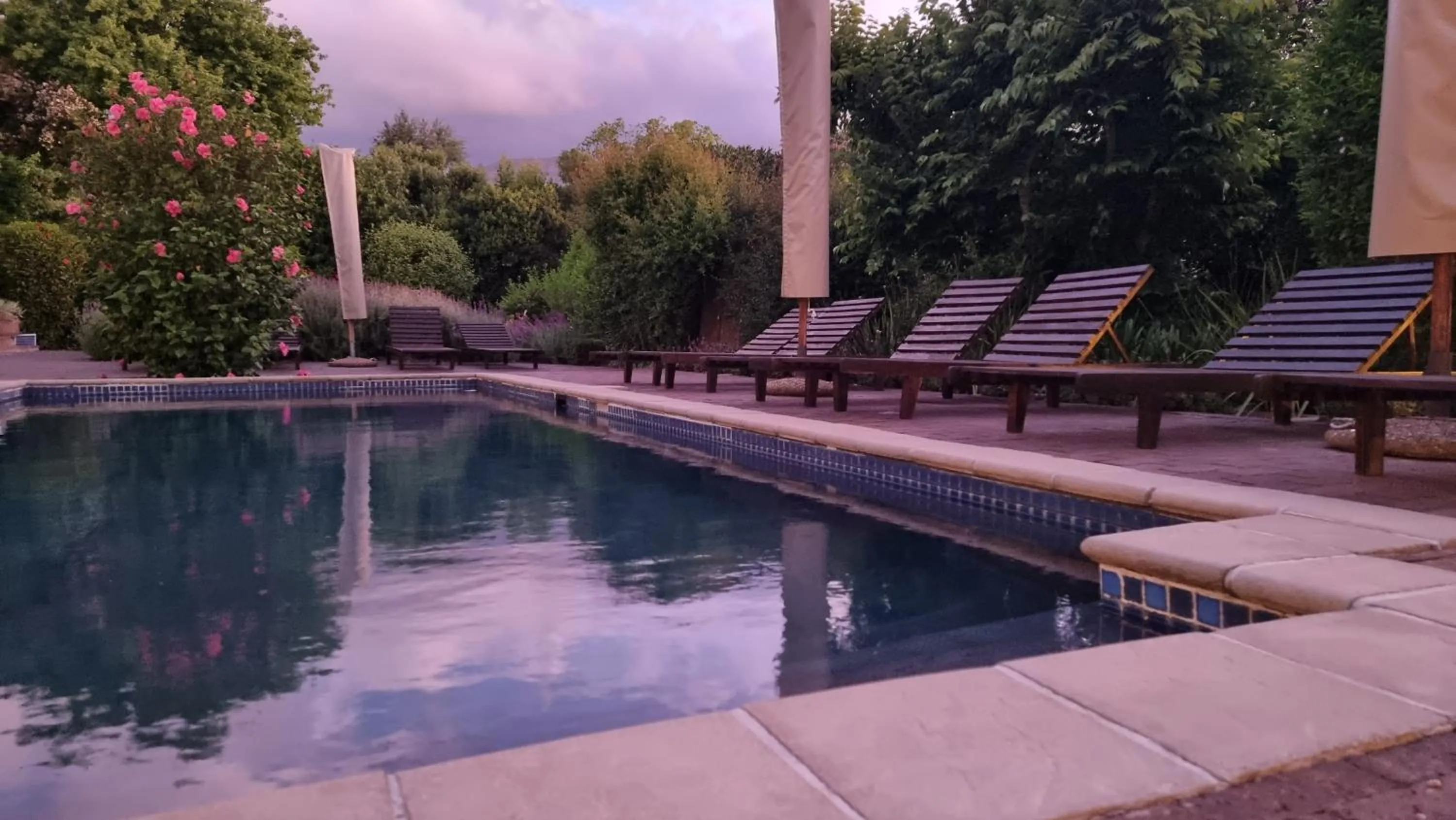 Swimming pool in Plumwood Boutique Hotel by The Living Journey Collection