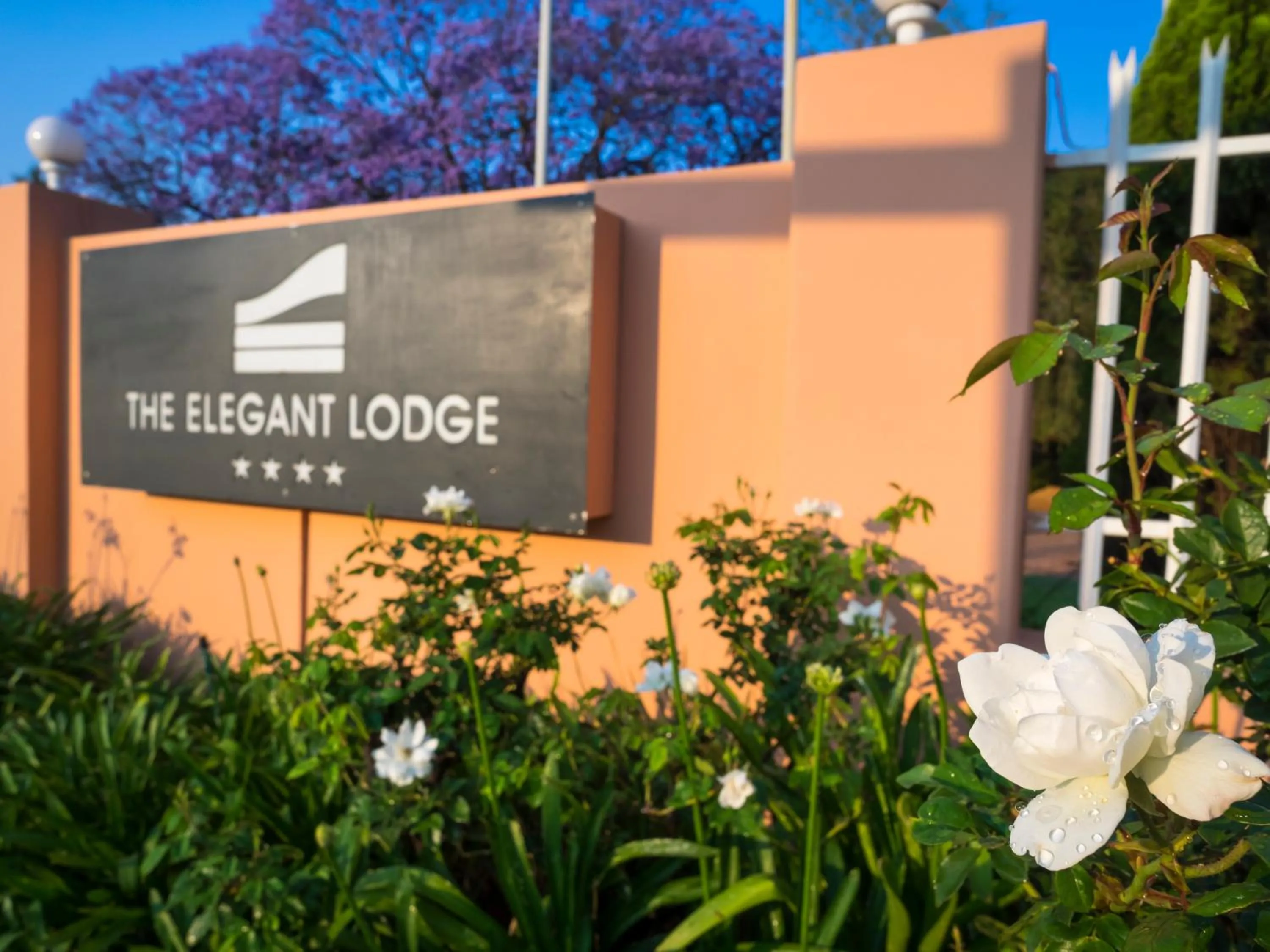 Garden in The Elegant Lodge Menlo Park