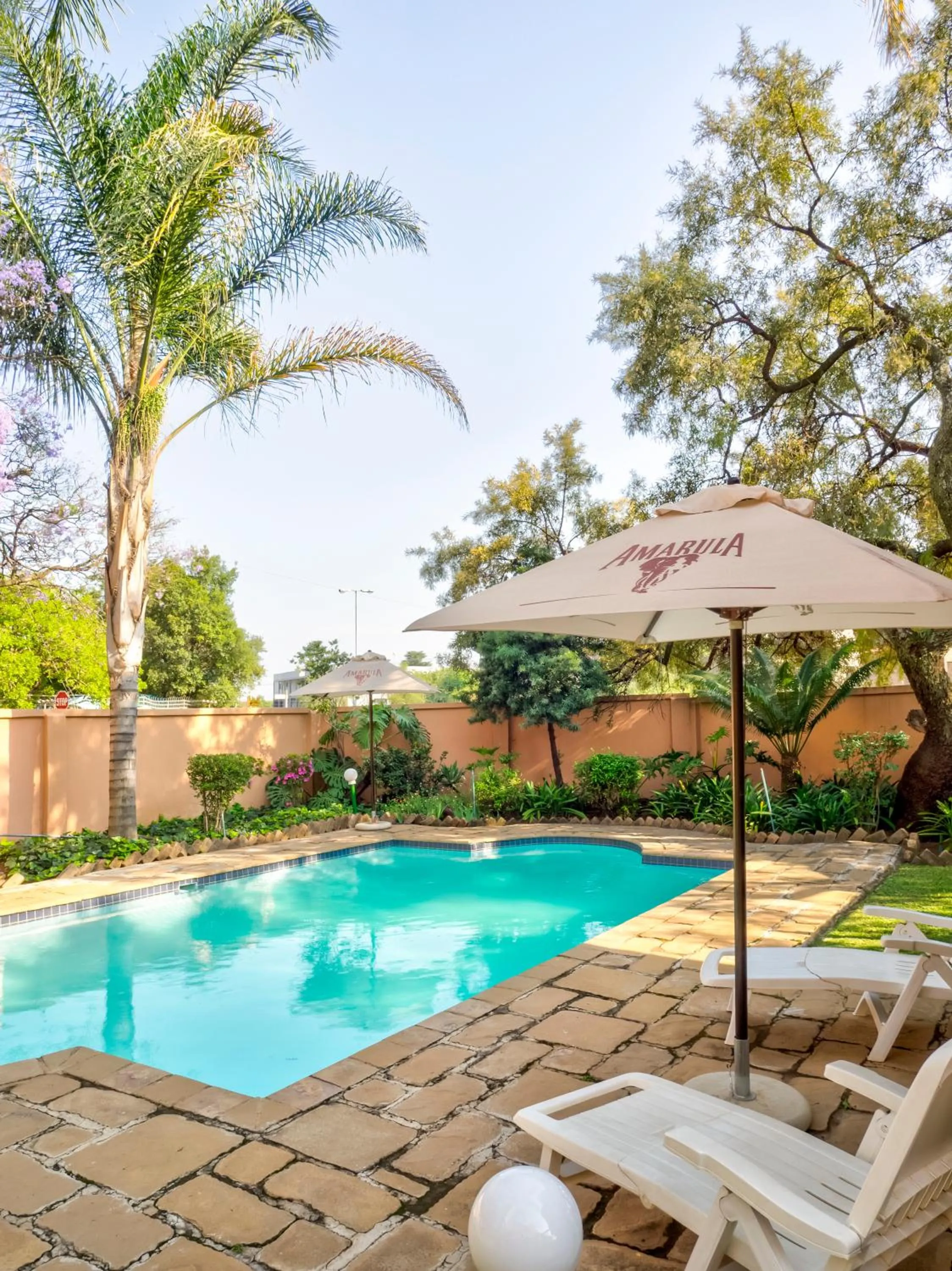 Swimming pool in The Elegant Lodge Menlo Park