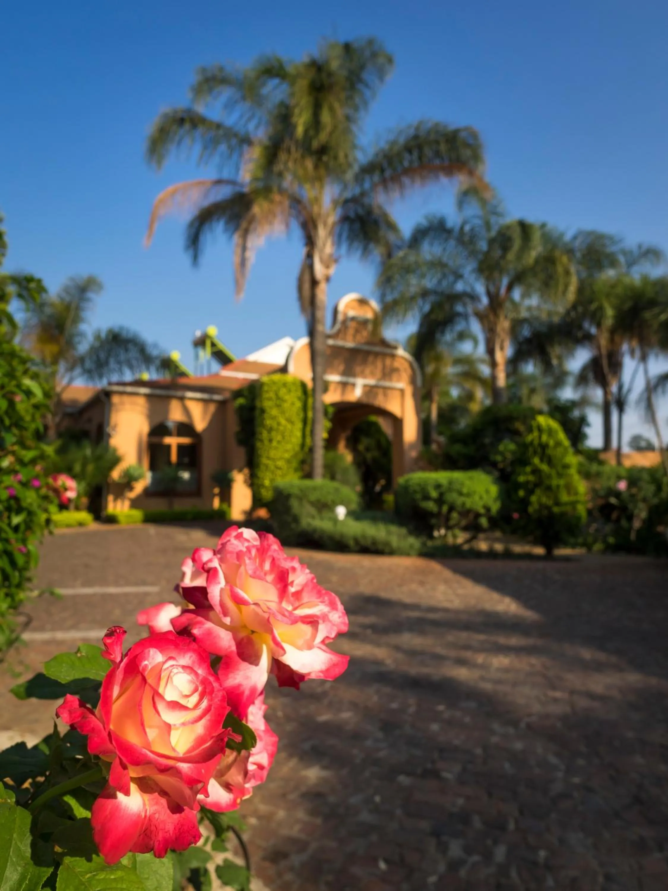 Garden in The Elegant Lodge Menlo Park