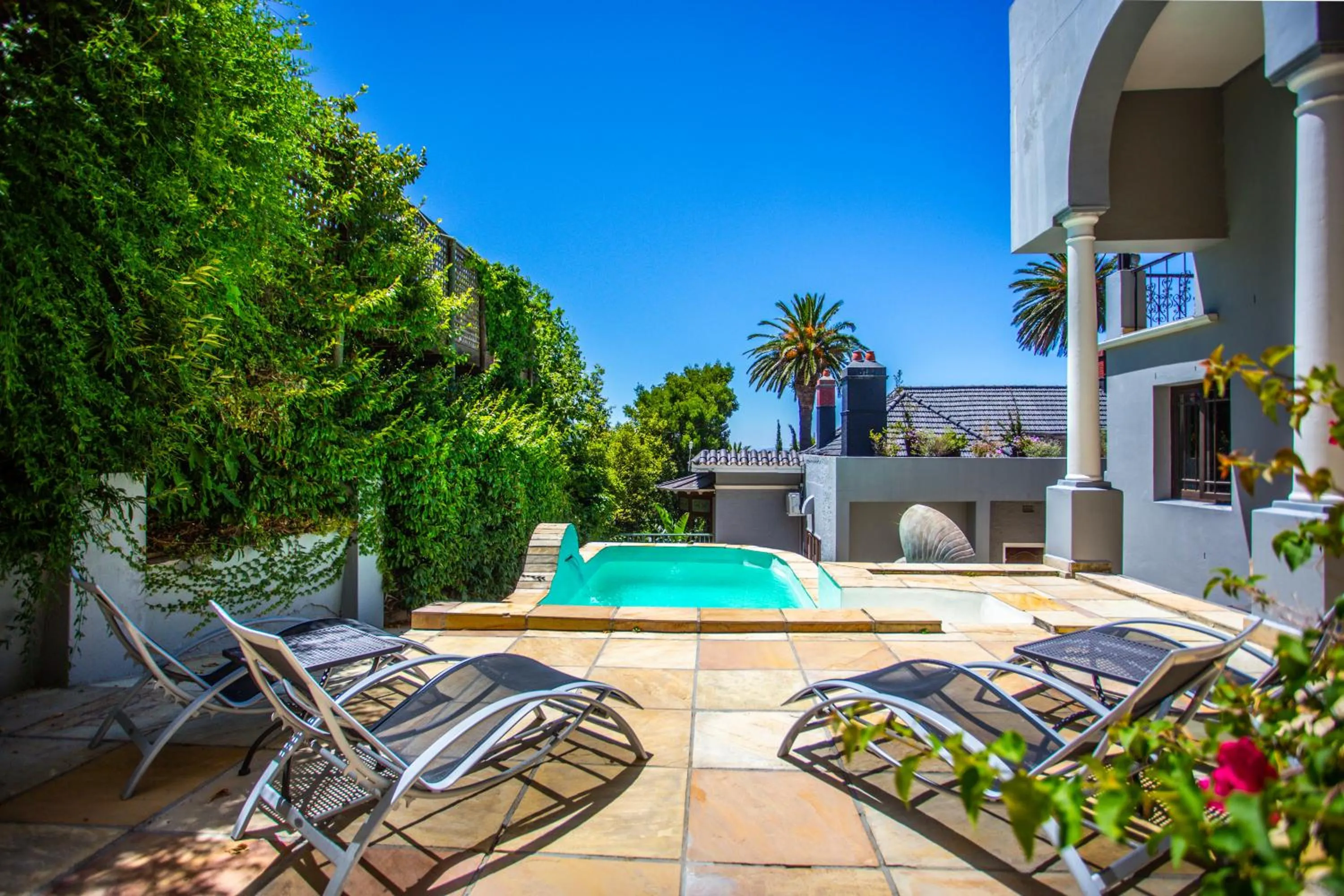 Garden in Cape Riviera Guesthouse