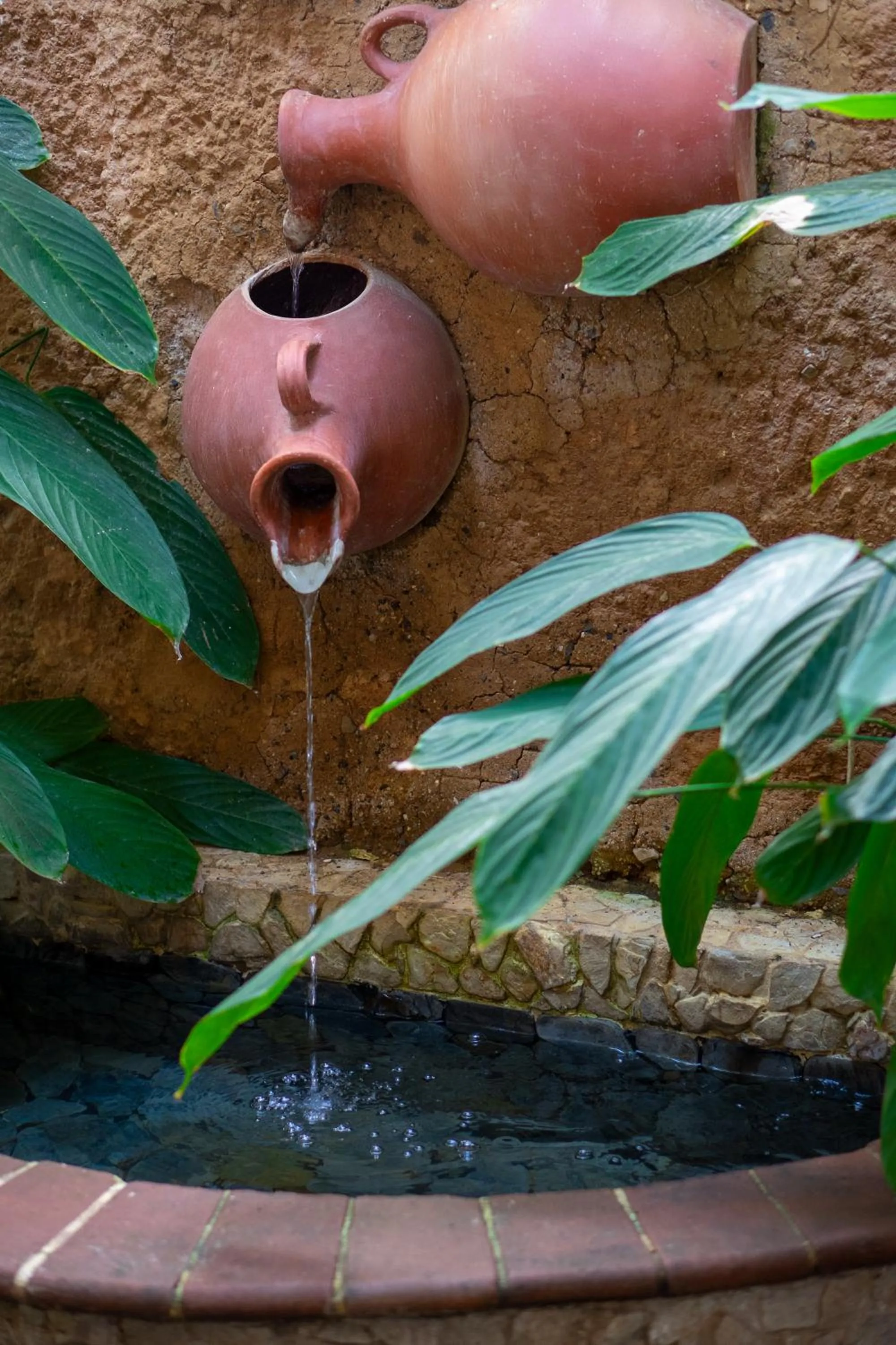 Day in Nueva Granada Hotel Colonial -Centro Histórico-