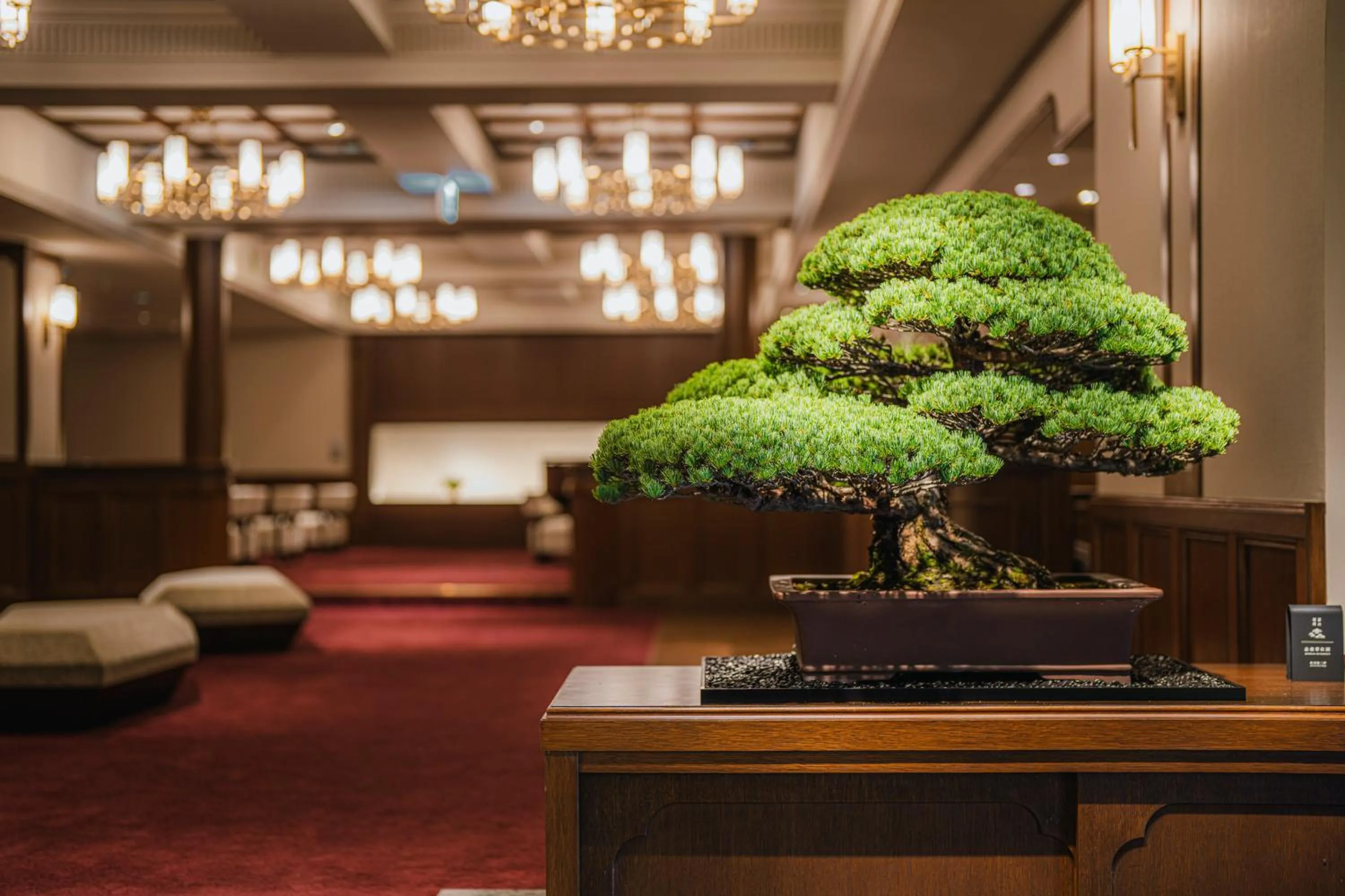 Communal lounge/ TV room in Shinzan Kinosaki