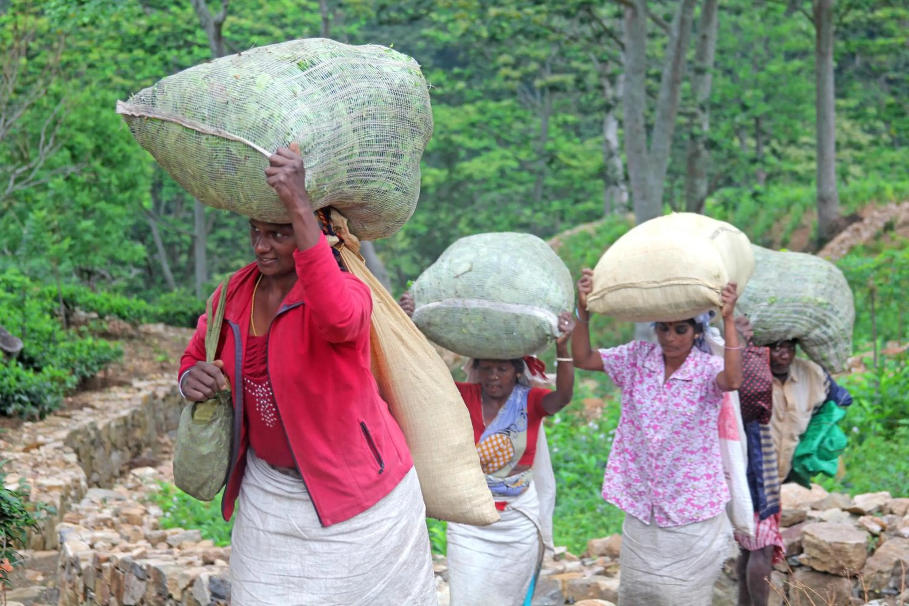 Staff in The Planters House