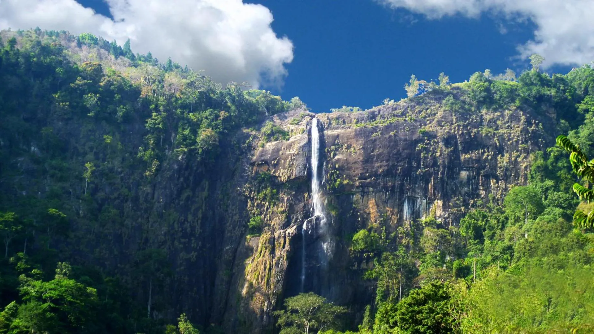Nearby landmark in The Planters House