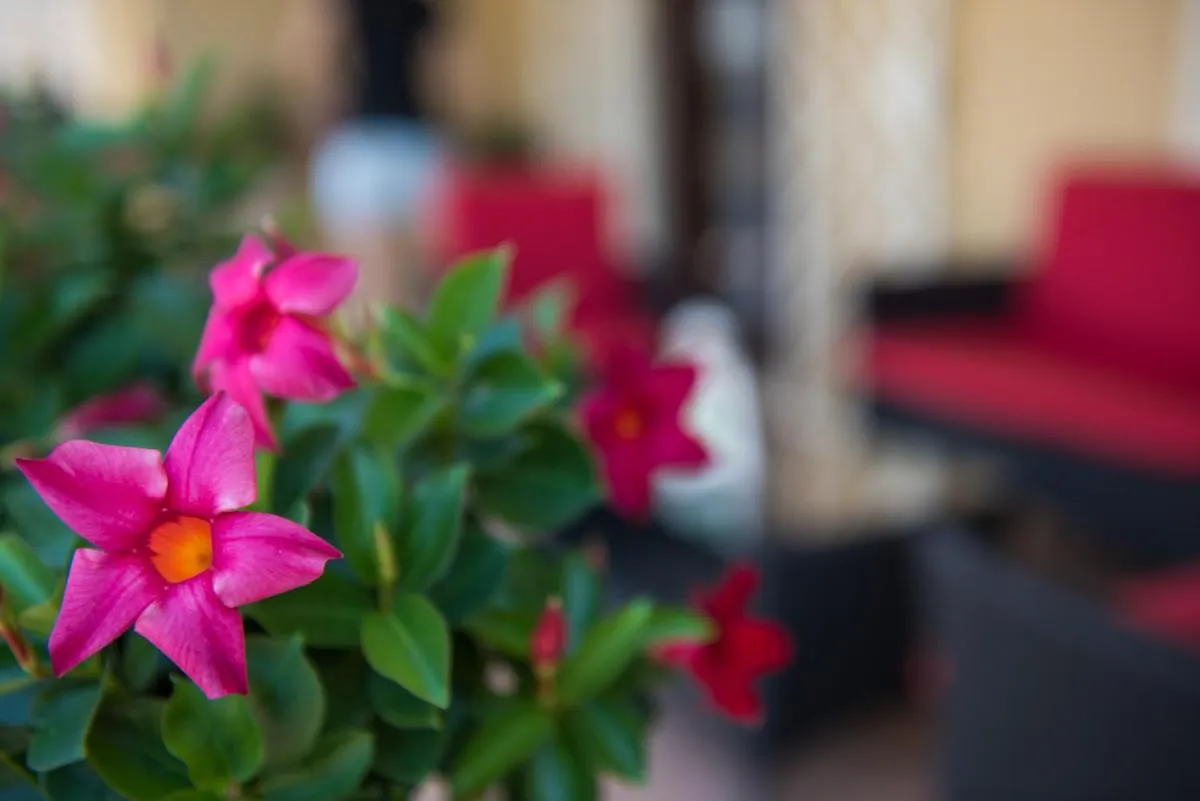 Balcony/Terrace in KiBari B&B