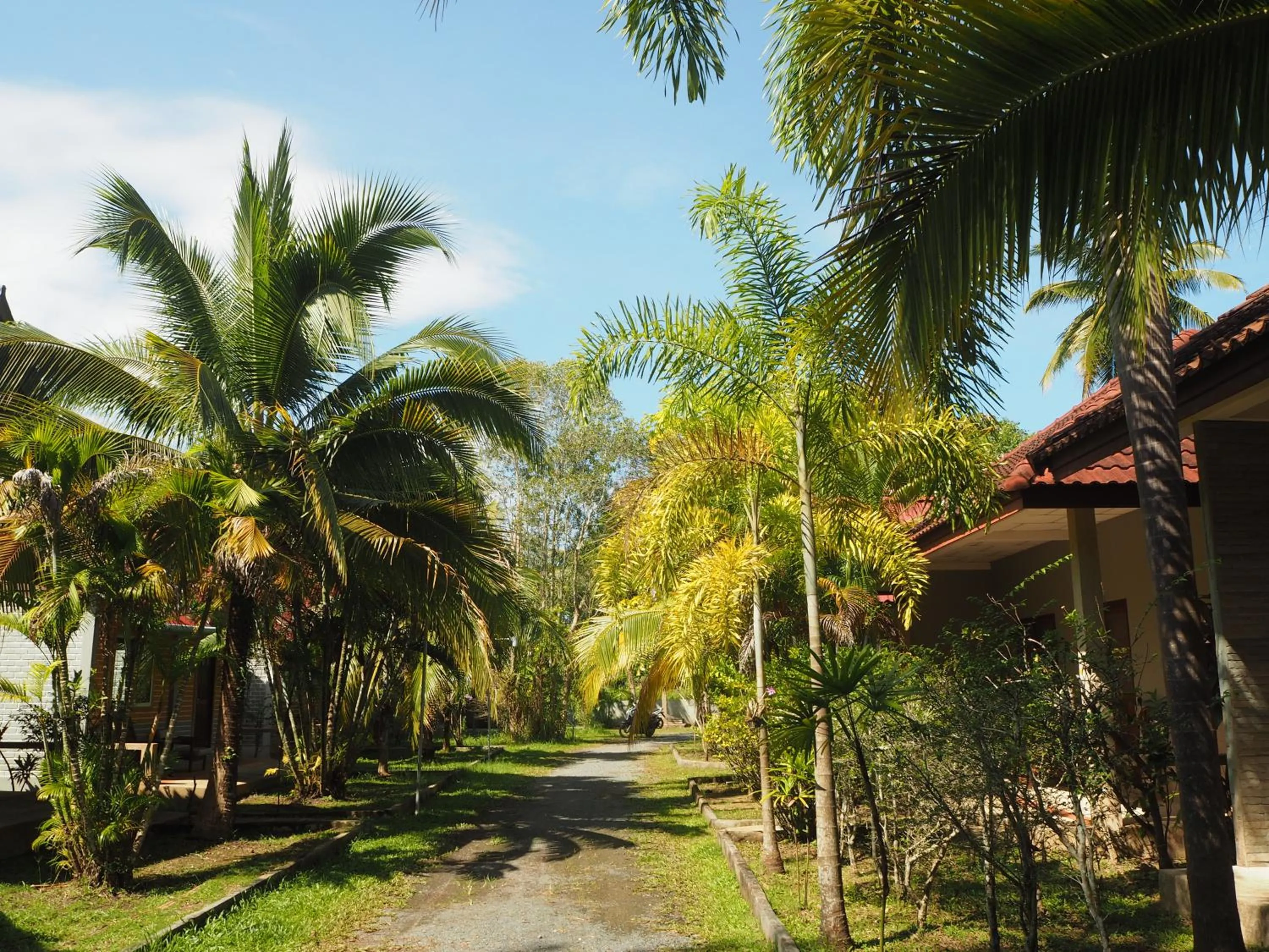 Garden view in Coconut Bungalow