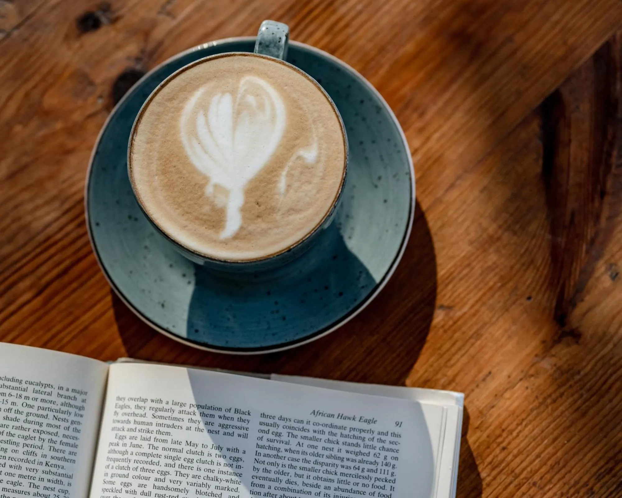 Winter in The Farmhouse Hotel