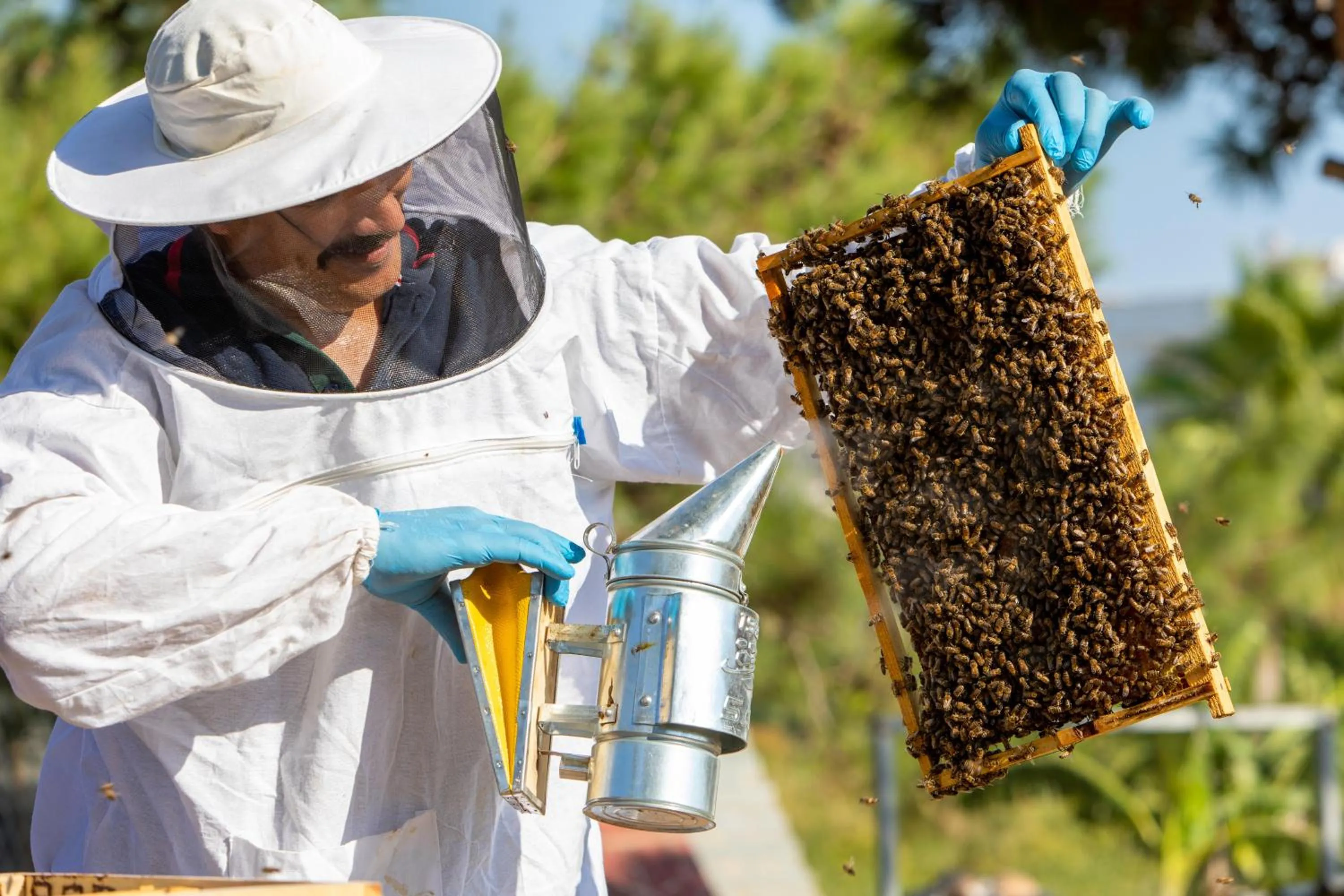 Garden in Labranda Lebedos Princess - All Inclusive