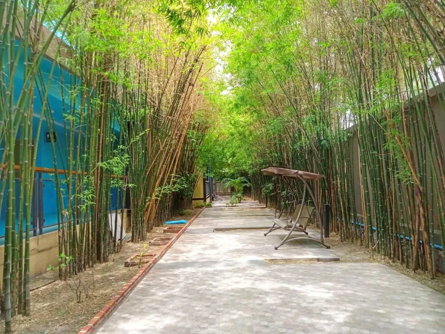 Garden view in Beach Walk Boutique Resort