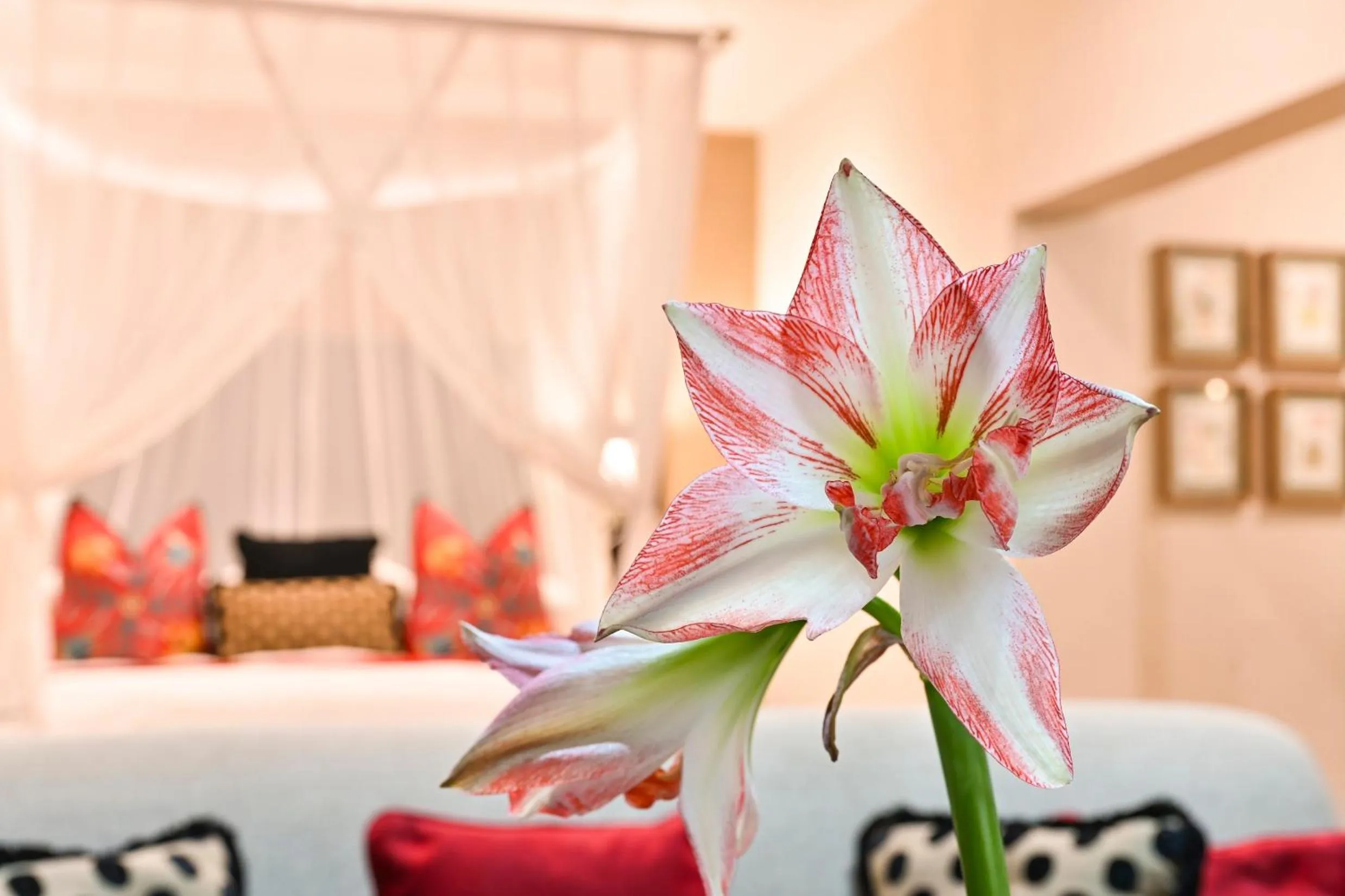 Bed in Woodall Country House and Spa