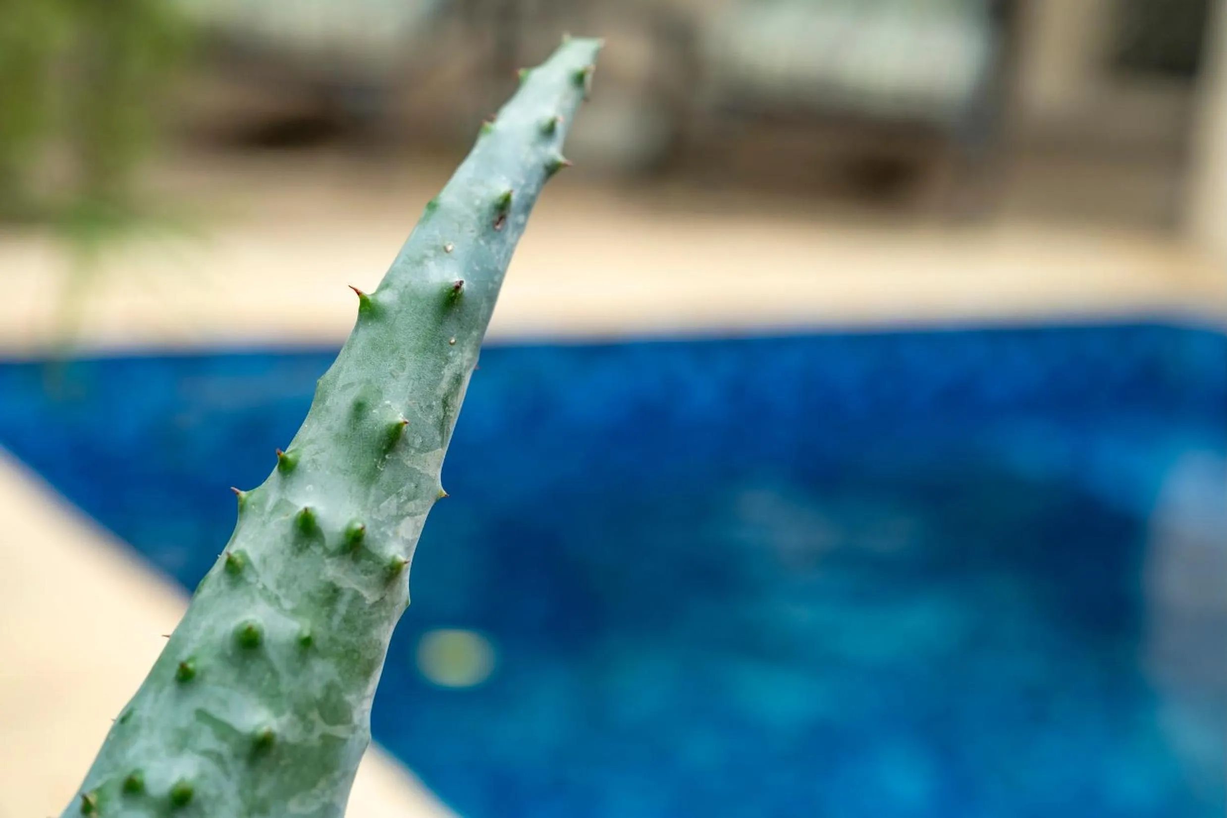 Swimming pool in Woodall Country House and Spa