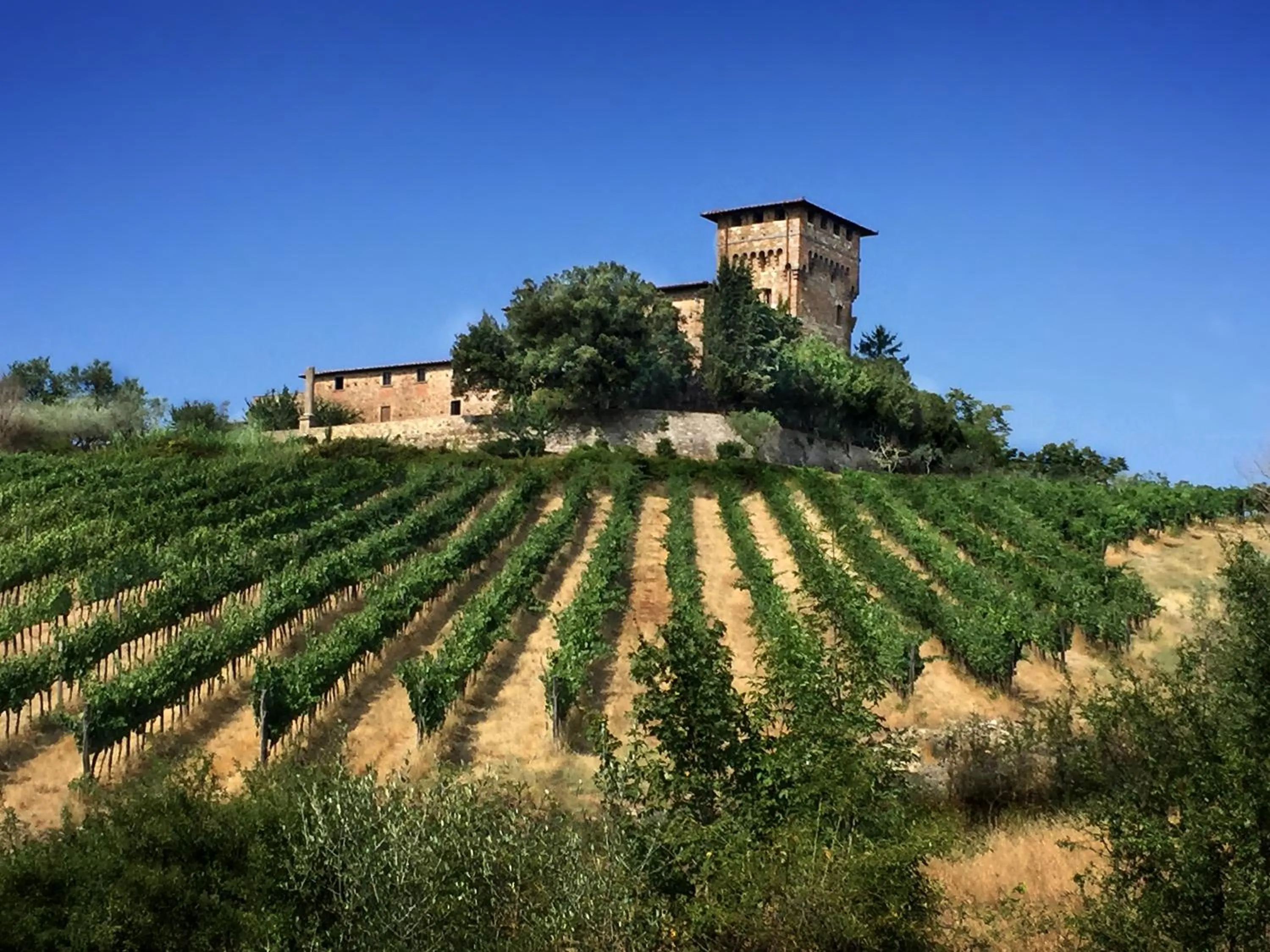 Natural landscape in Castello di Cafaggio