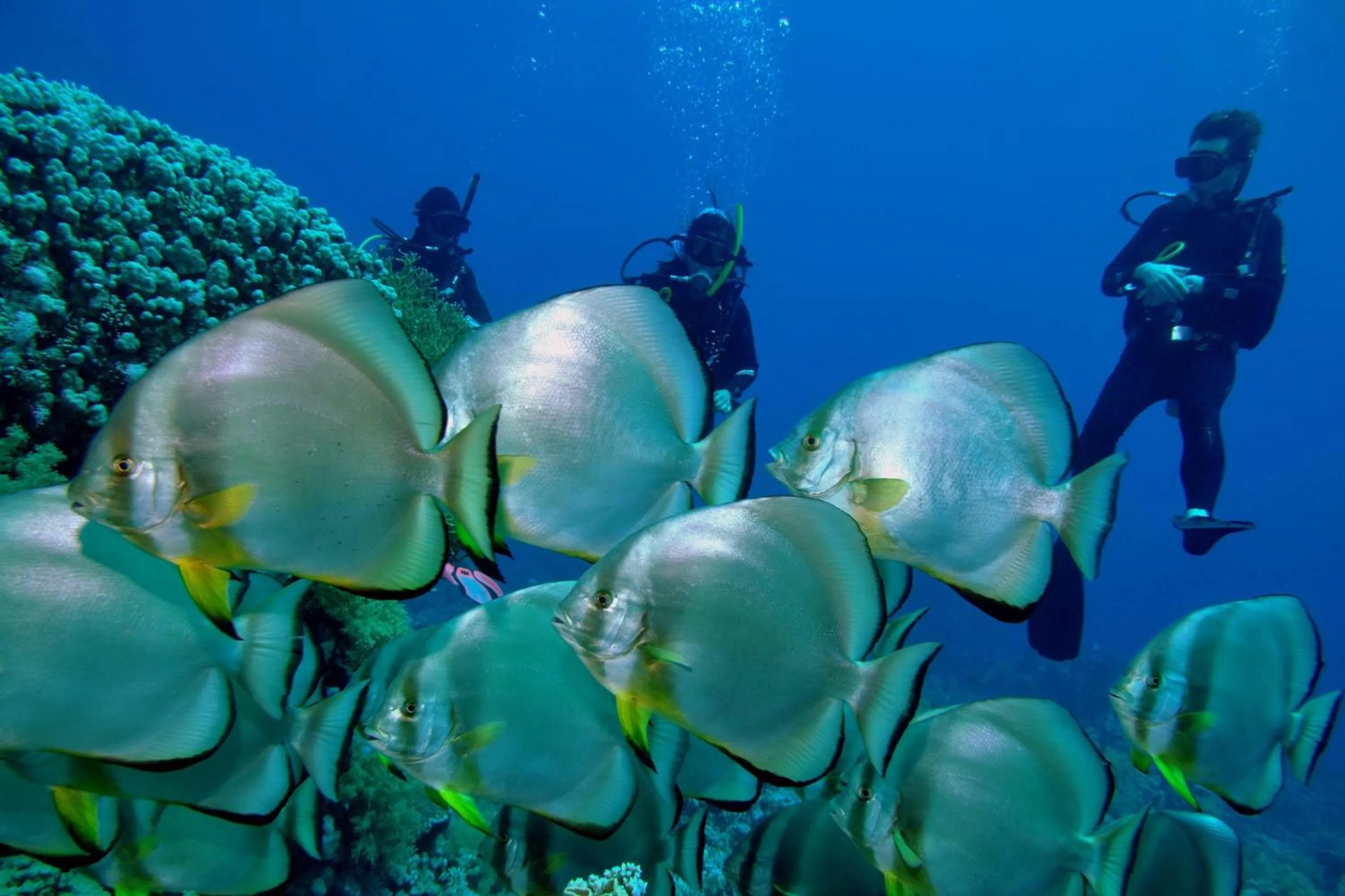 Other in Renaissance Sharm El Sheikh Golden View Beach Resort