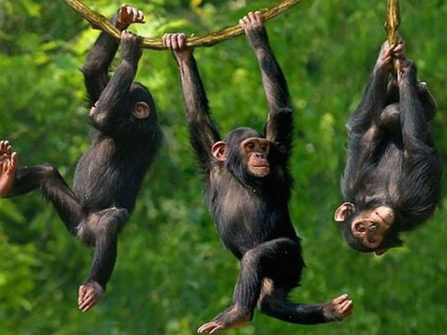 Natural landscape in Wielewaal Bush Lodge