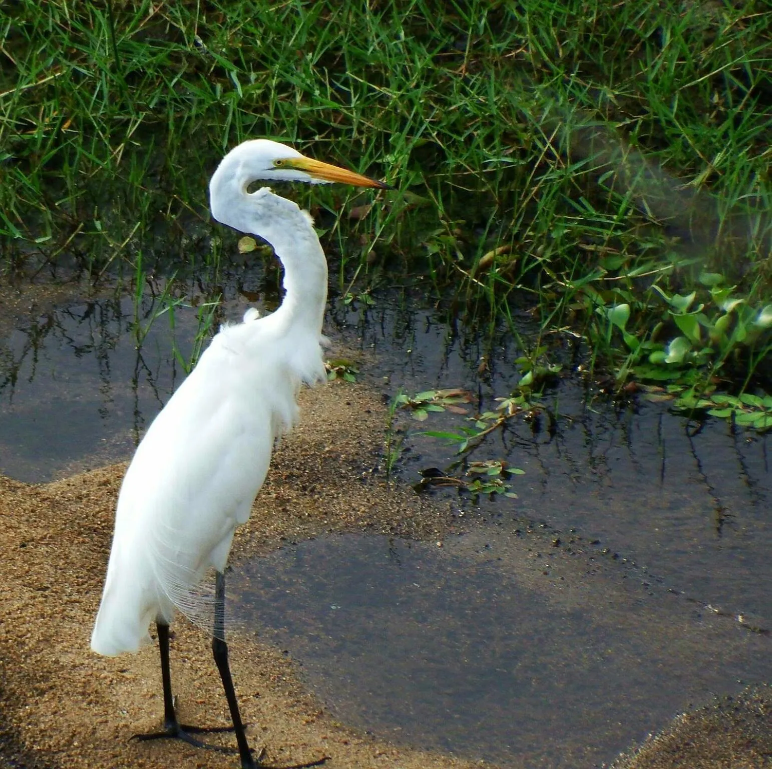 Day in Wielewaal Bush Lodge