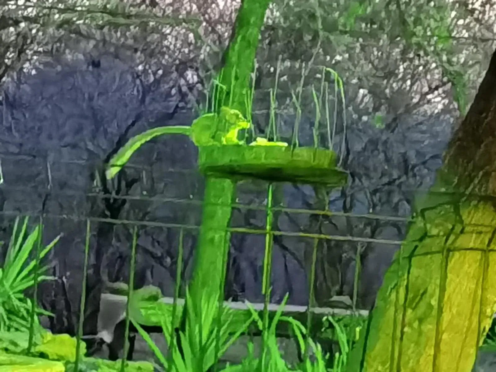 Night in Wielewaal Bush Lodge