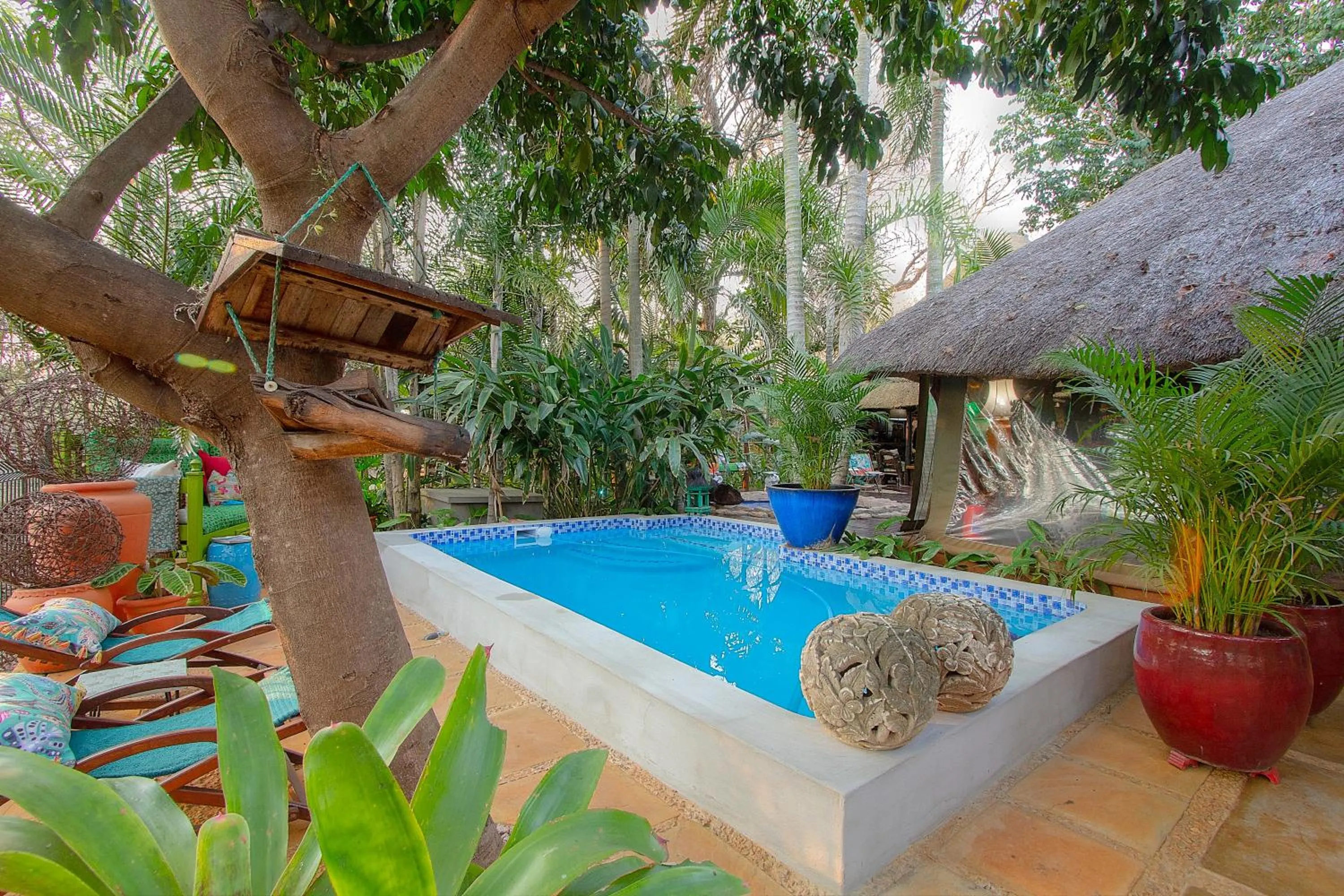 Natural landscape in Wielewaal Bush Lodge