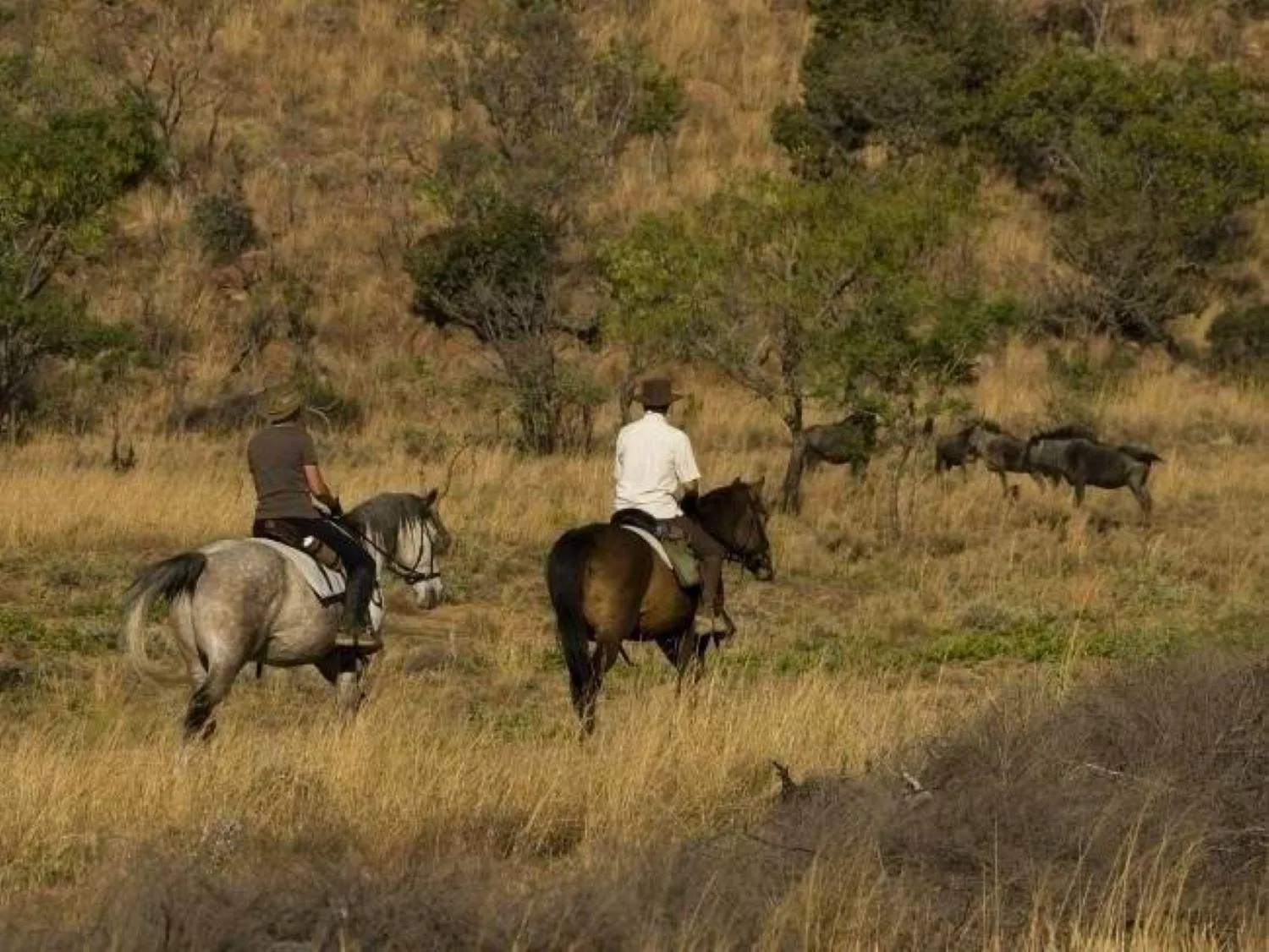 Natural landscape in Wielewaal Bush Lodge