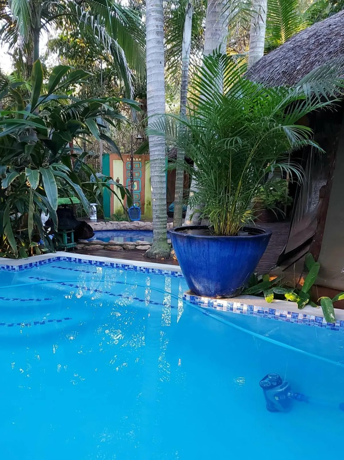 Pool view in Wielewaal Bush Lodge