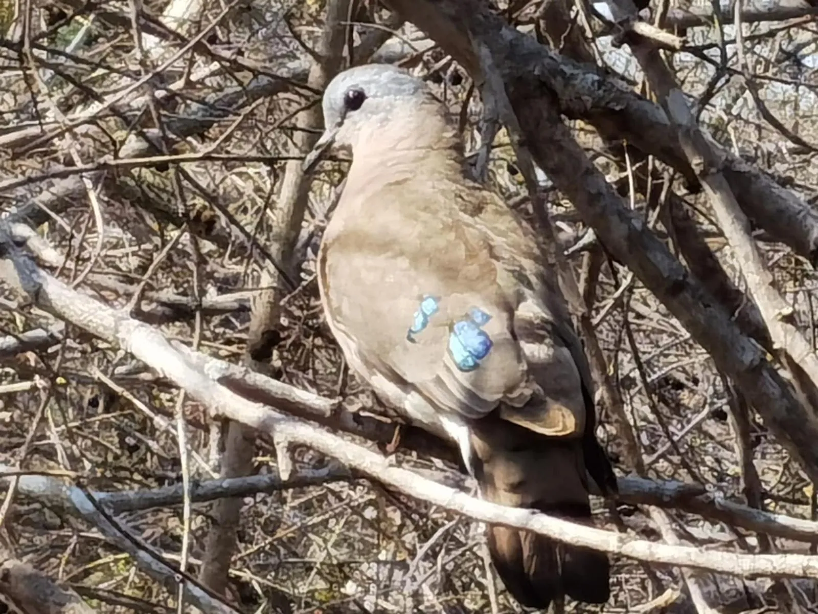 Day in Wielewaal Bush Lodge