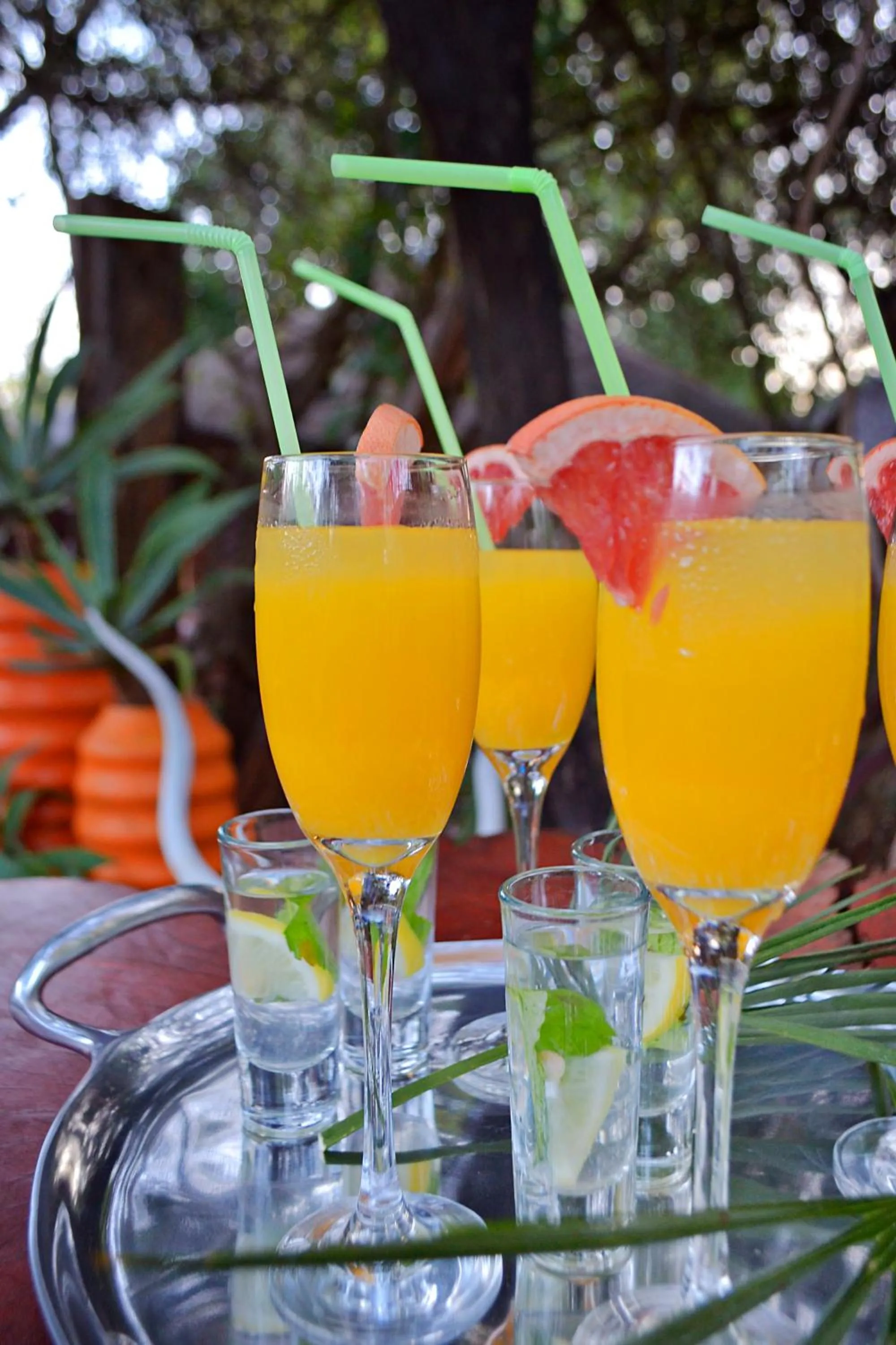 Activities in Wielewaal Bush Lodge