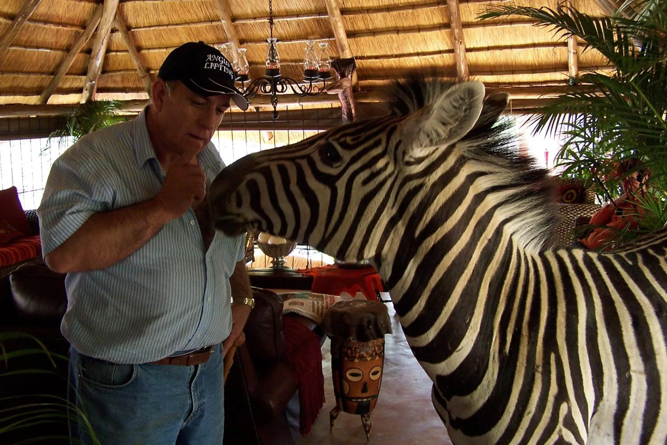 Bird's eye view in Wielewaal Bush Lodge