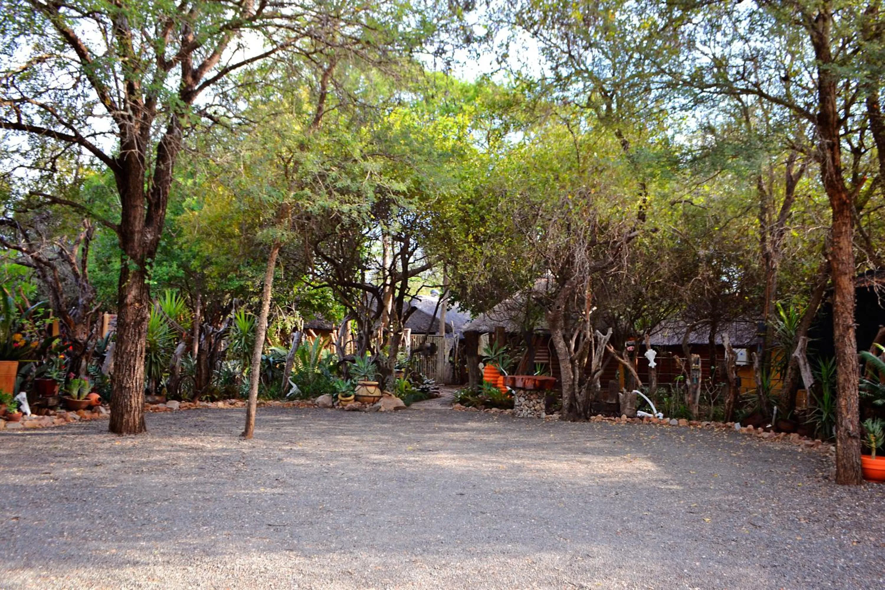 Facade/entrance in Wielewaal Bush Lodge