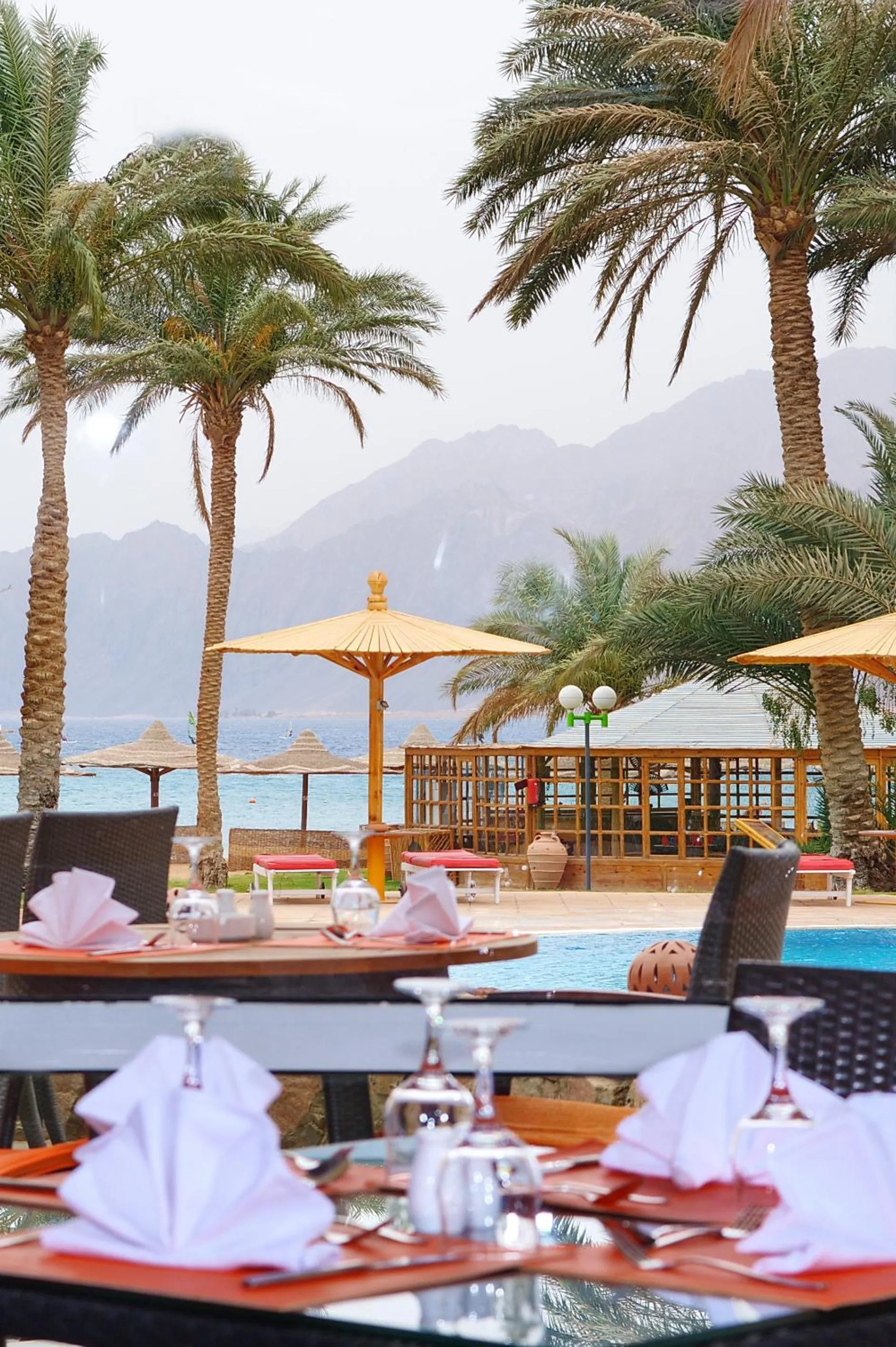 Restaurant/places to eat in Dahab Lagoon Club & Resort Ex Tirana Dahab