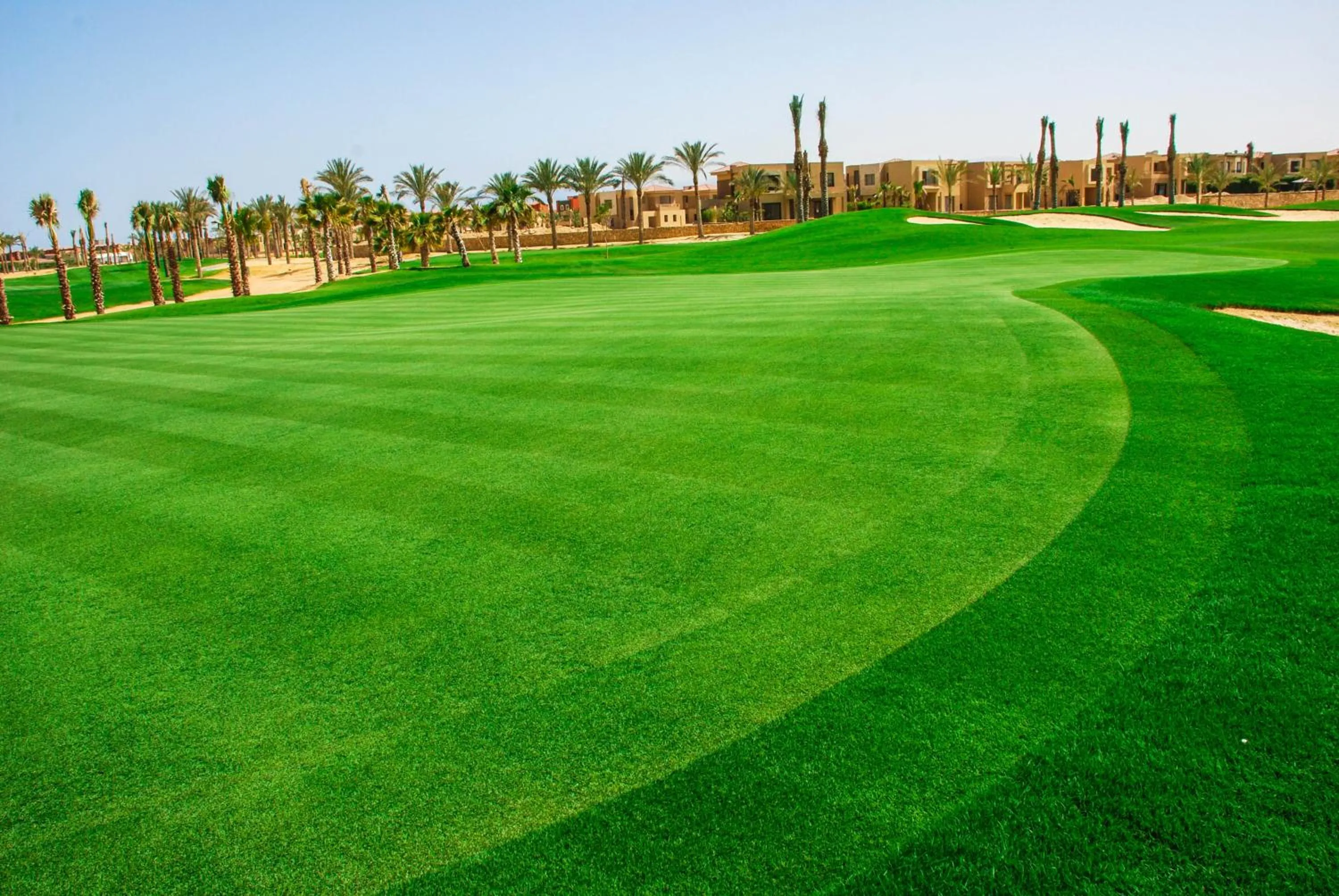 Golfcourse in JAZ Little Venice Golf Resort