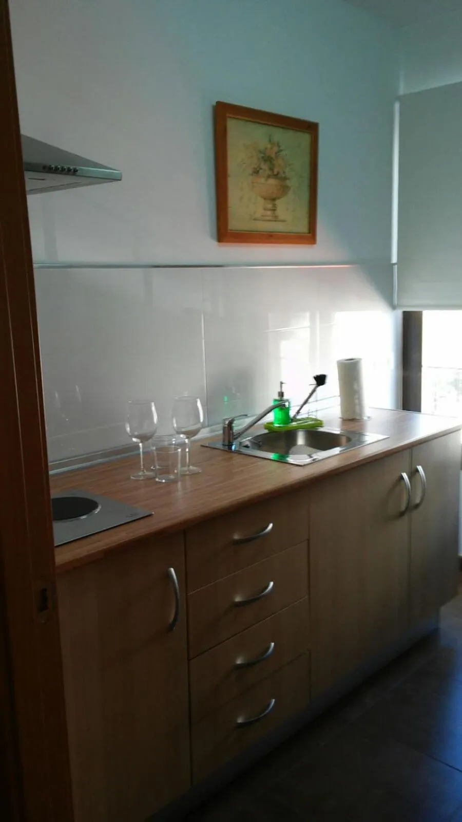 Kitchen or kitchenette in Apartamentos Turísticos La Garza