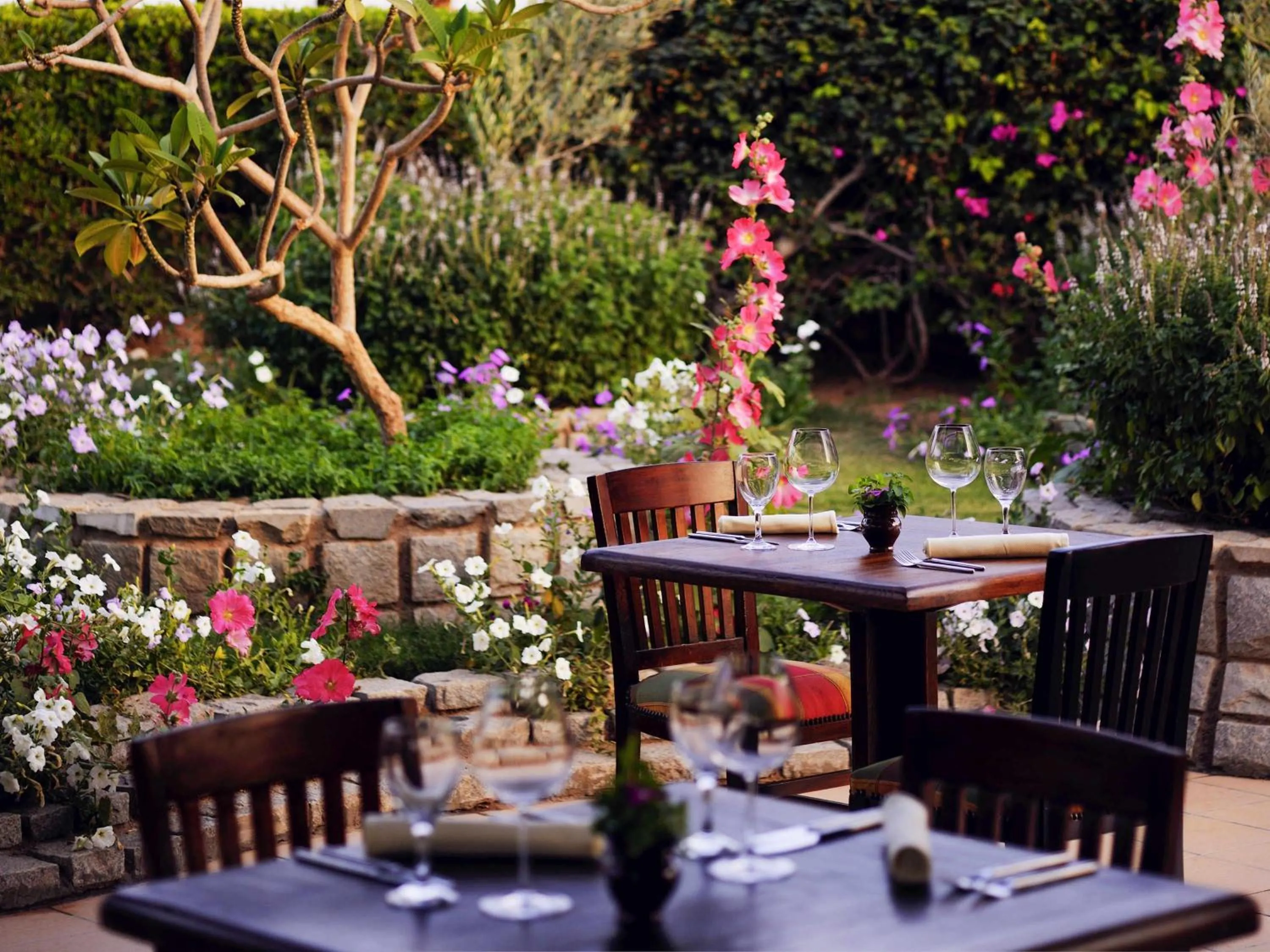 Restaurant/places to eat in Naama Bay Promenade Beach Resort Managed By Accor