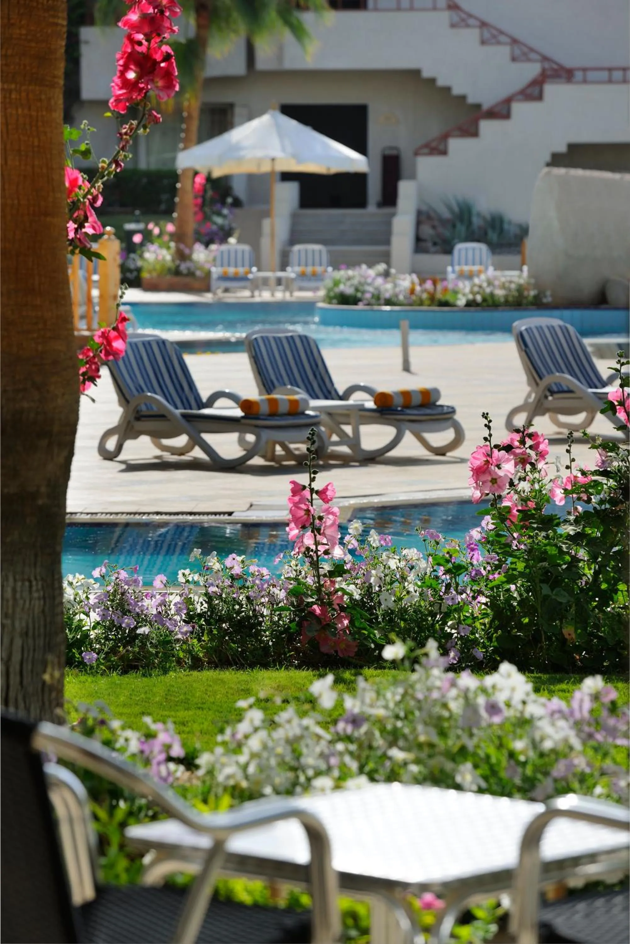 Pool view in Naama Bay Promenade Beach Resort Managed By Accor
