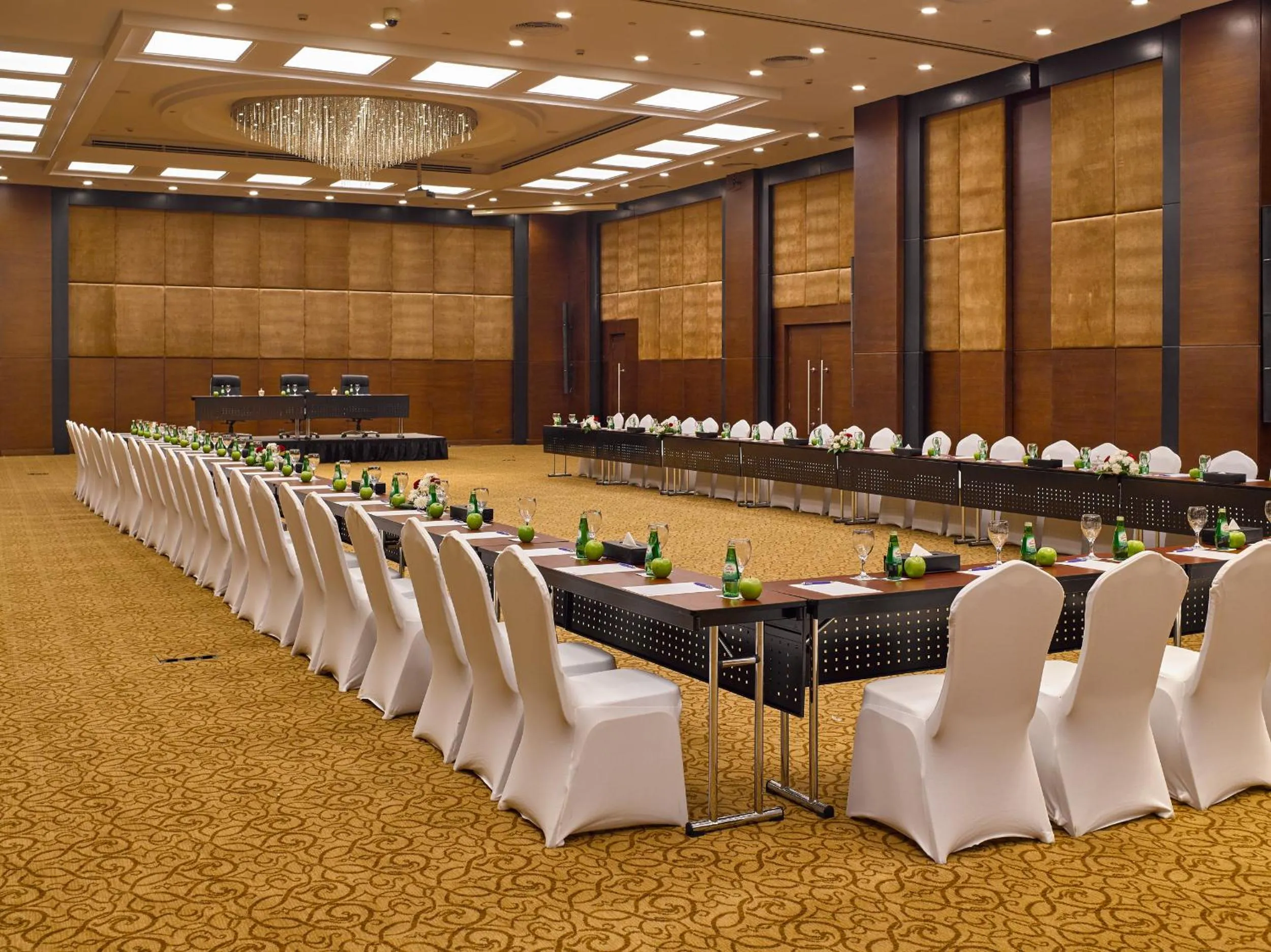 Meeting/conference room in Radisson Blu Hotel & Convention Center, Alexandria