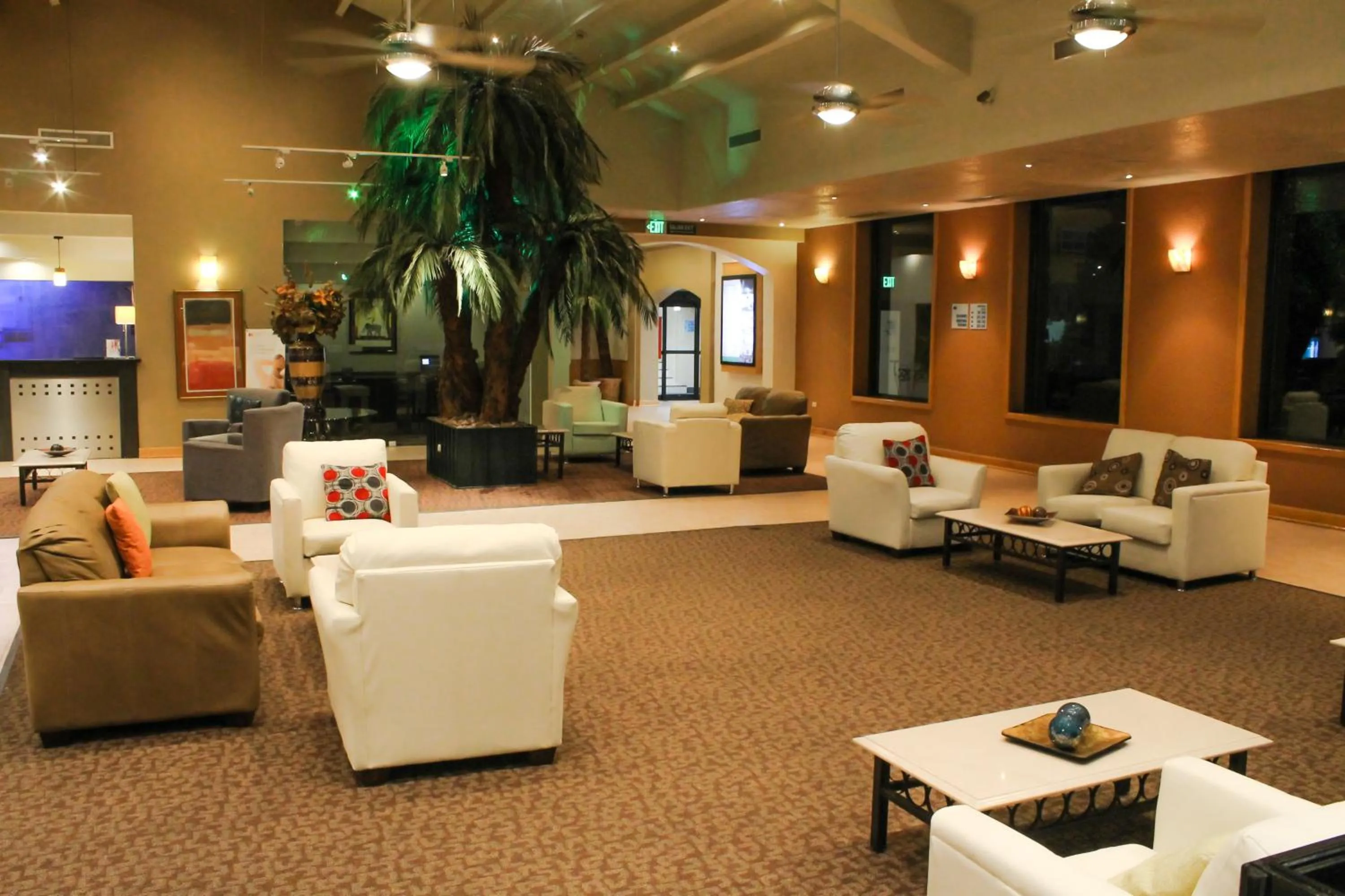 Area and facilities in Holiday Inn Express Chihuahua by IHG