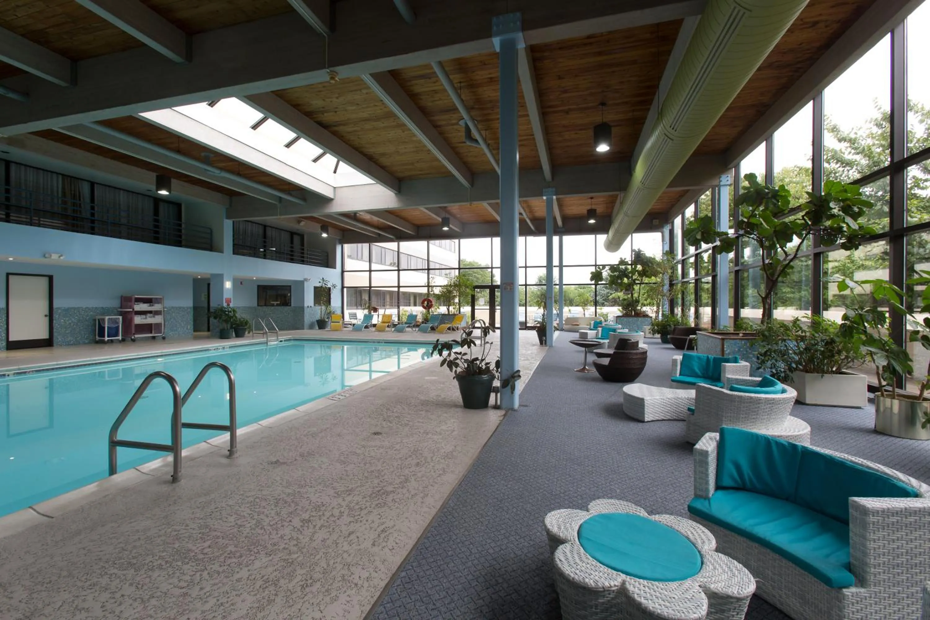 Swimming pool, Lounge/Bar in Liyo Inn