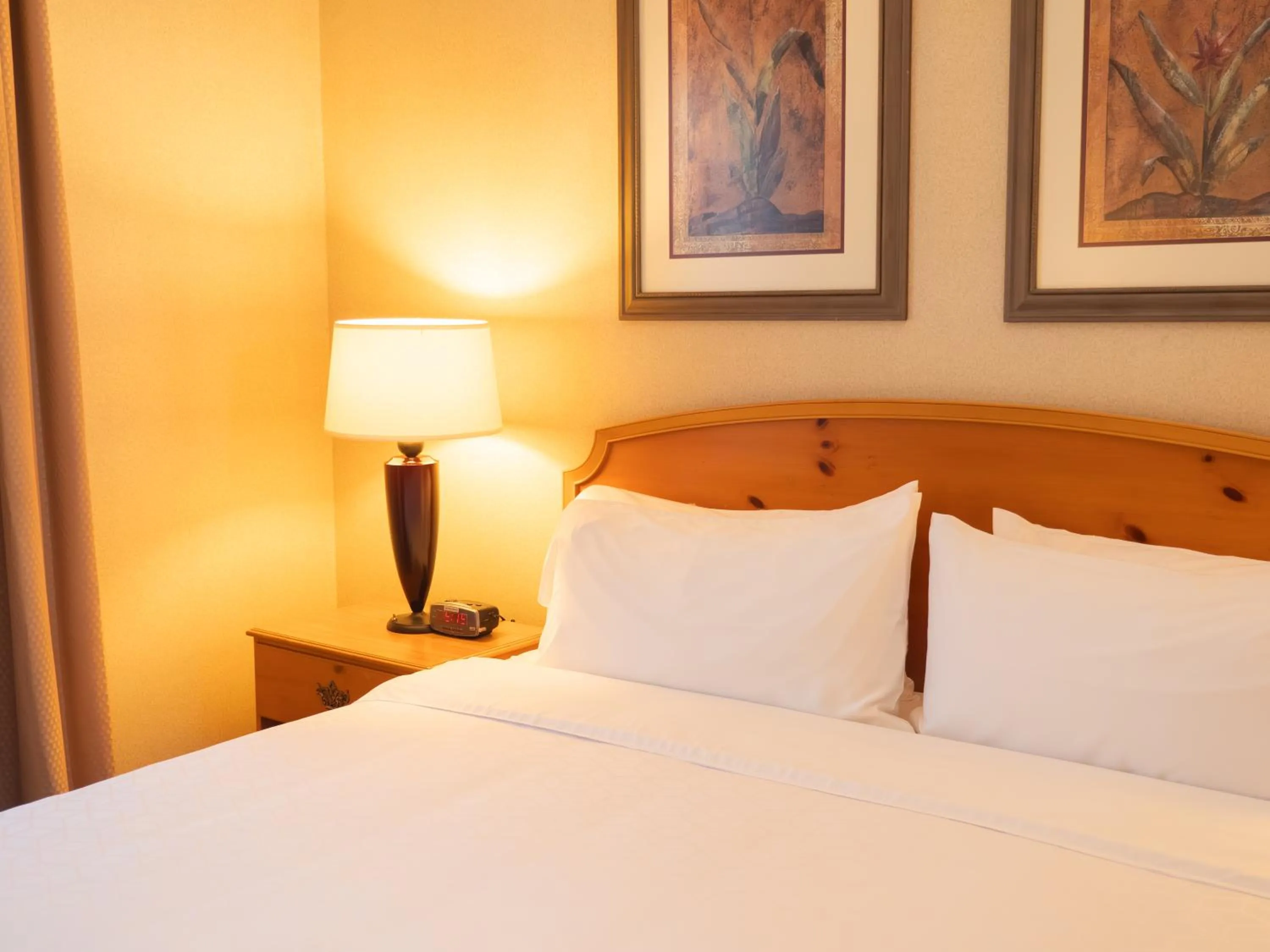 Bedroom, Bed in Holiday Inn Express Silao-Aeropuerto Bajio by IHG