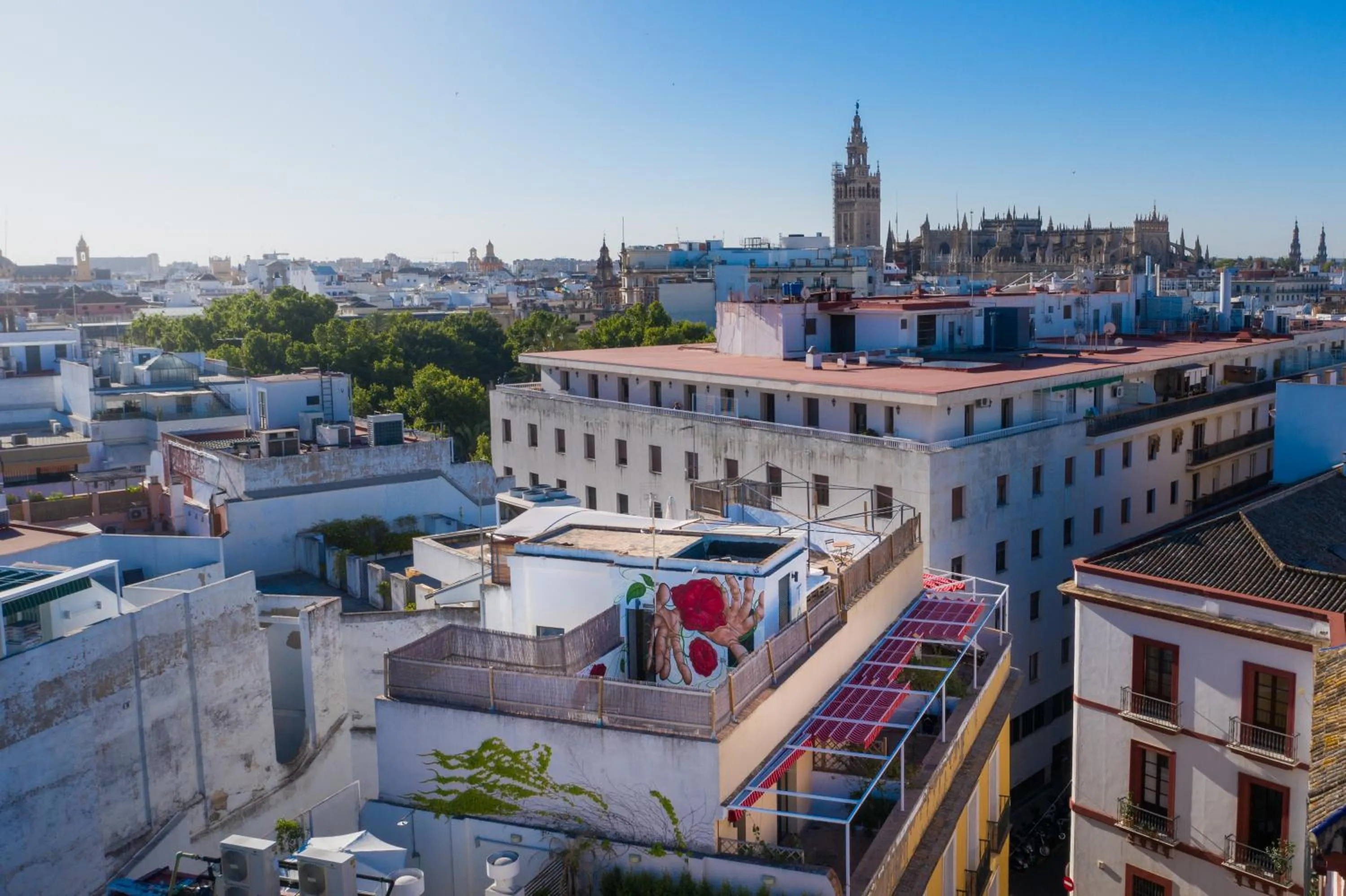 BBQ facilities in Black Swan Hostel Sevilla