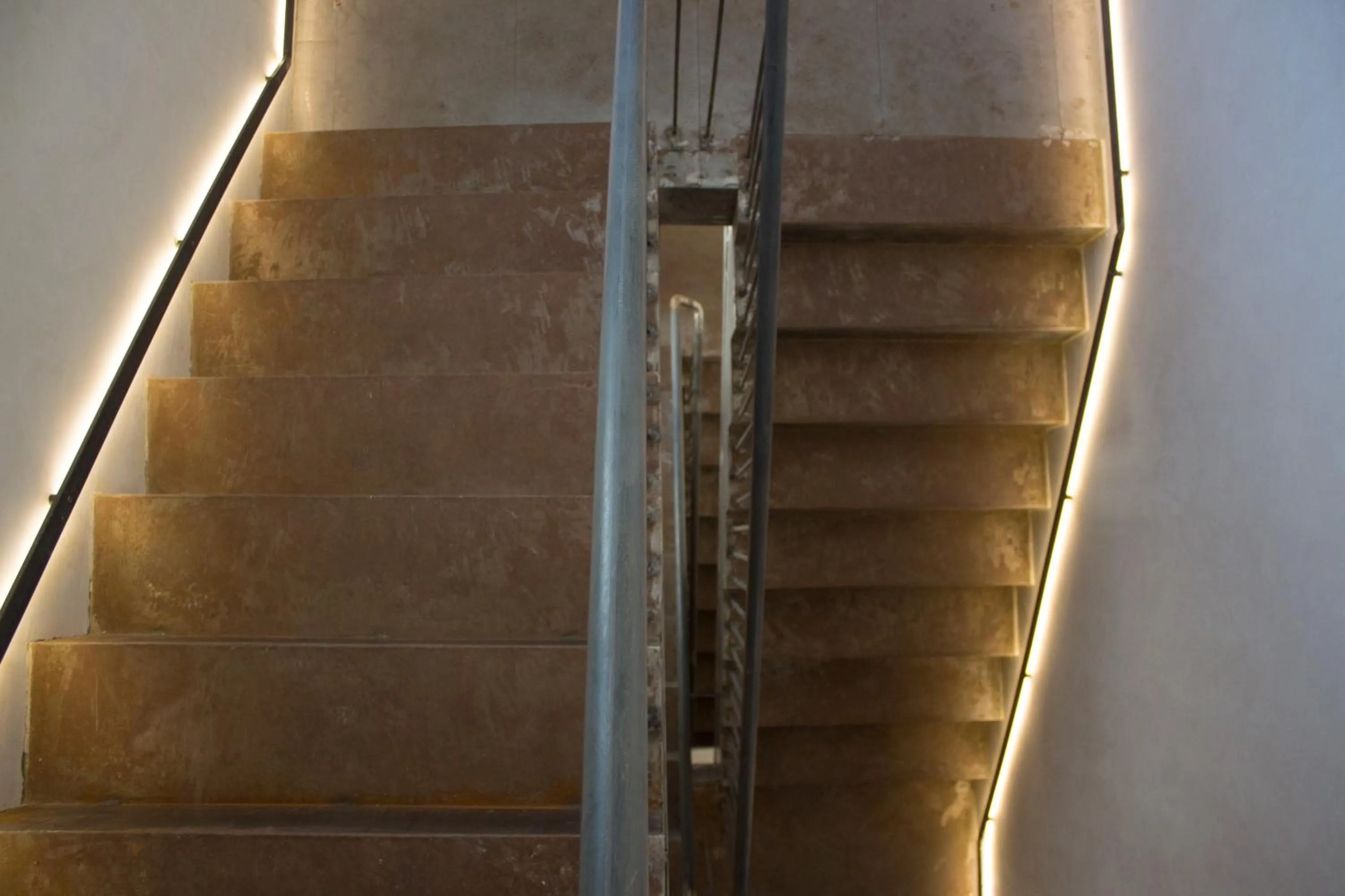 Area and facilities in Black Swan Hostel Sevilla