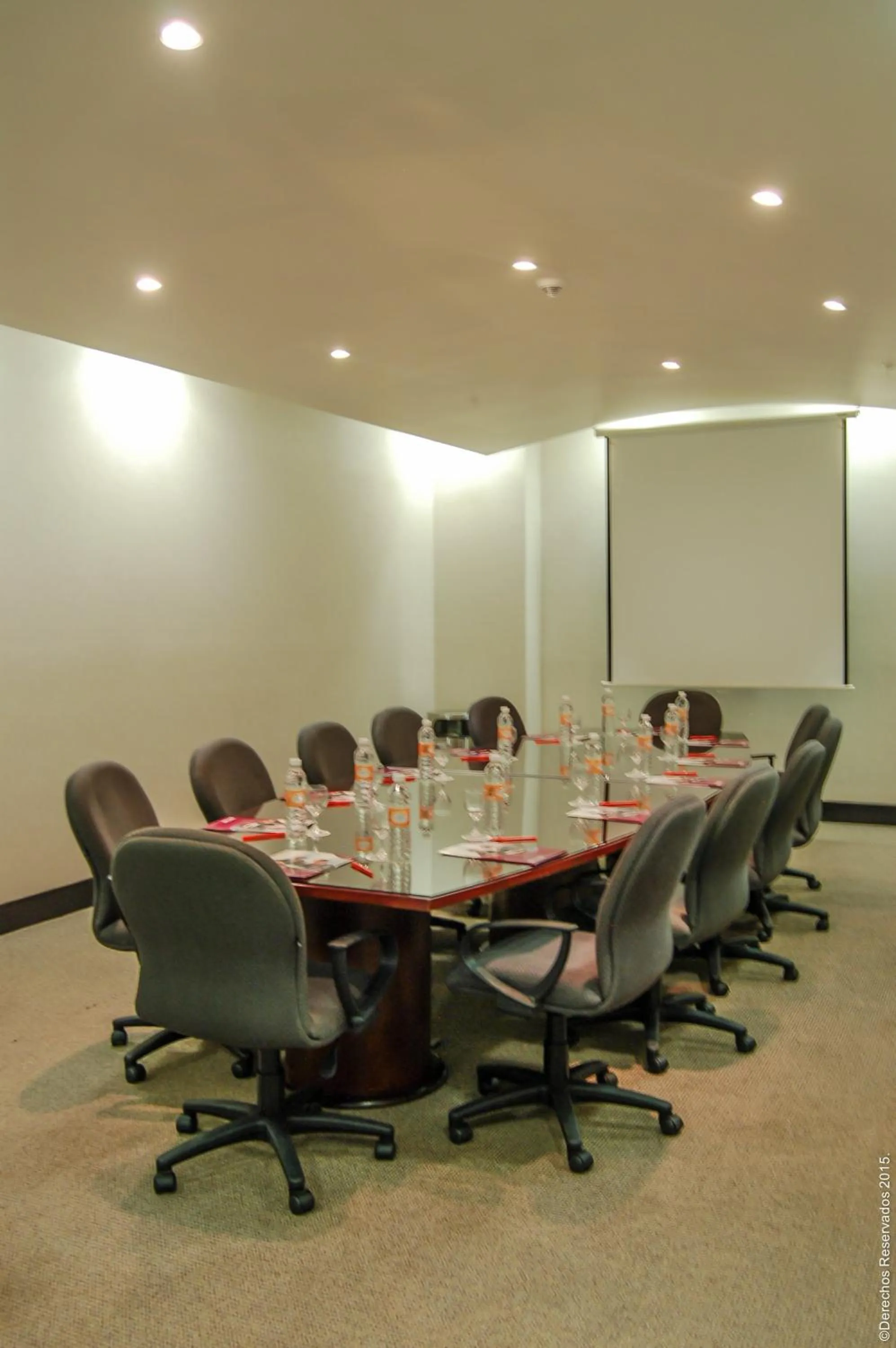 Meeting/conference room in Crowne Plaza Leon by IHG