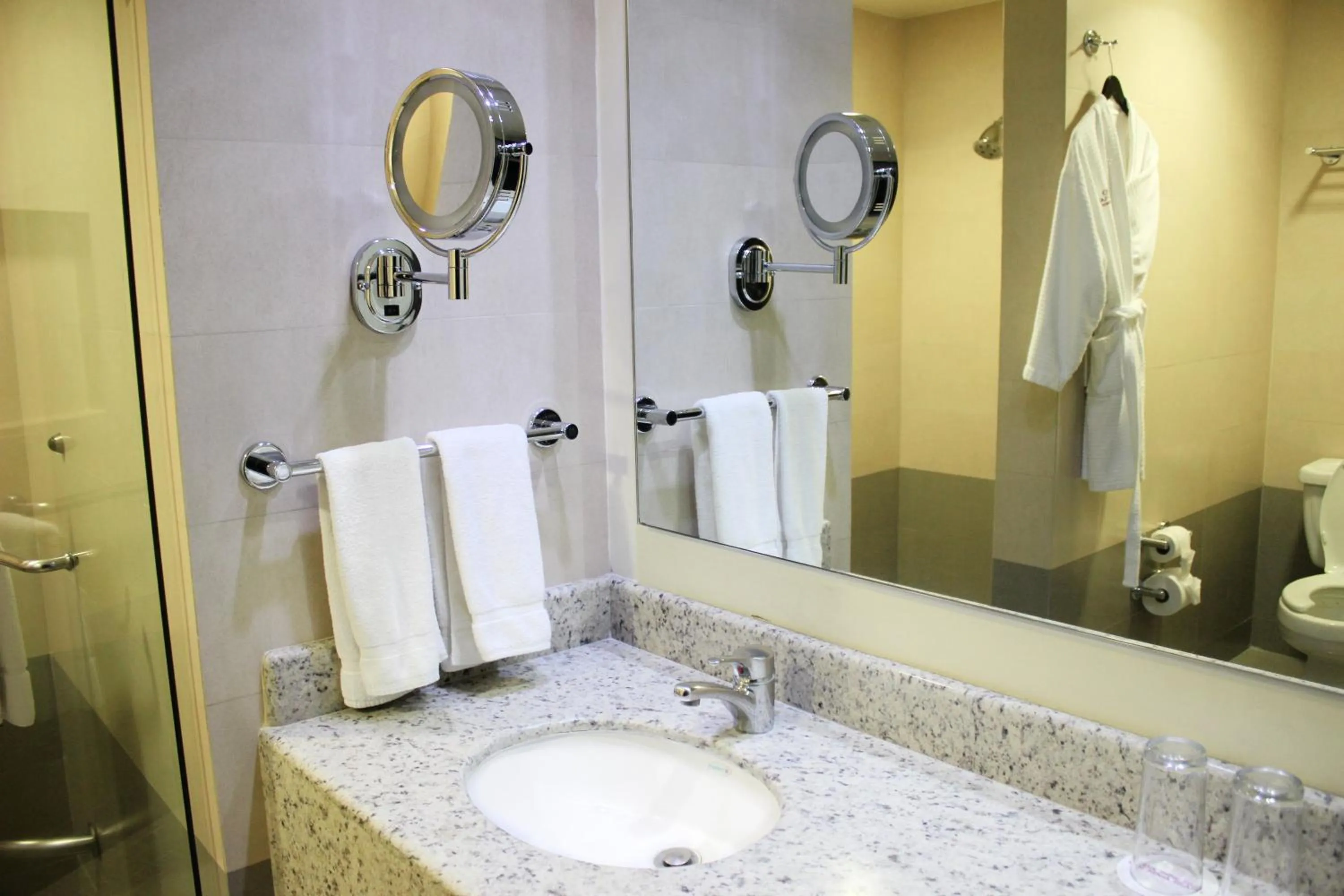 Bathroom in Crowne Plaza Leon by IHG