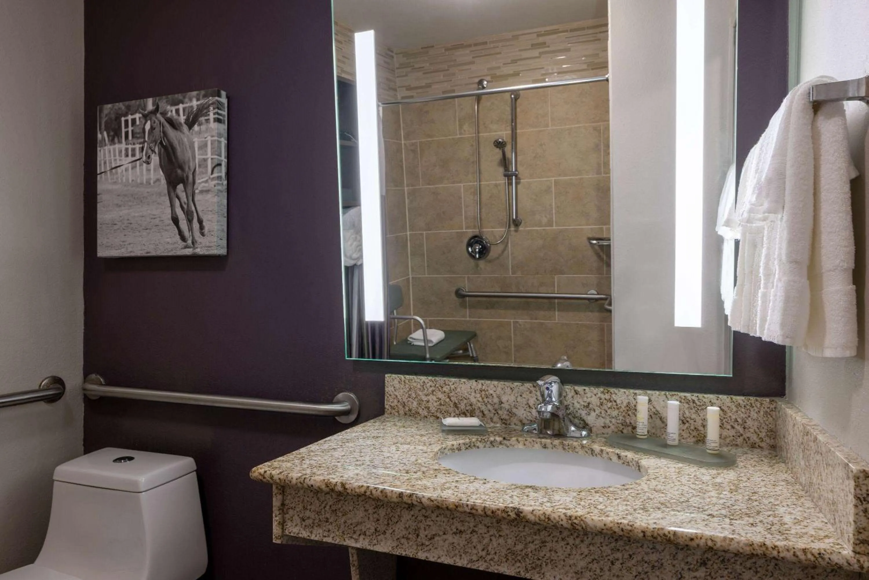 Shower in La Quinta by Wyndham Covington