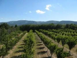 Mountain view in Le Clos de Lucie